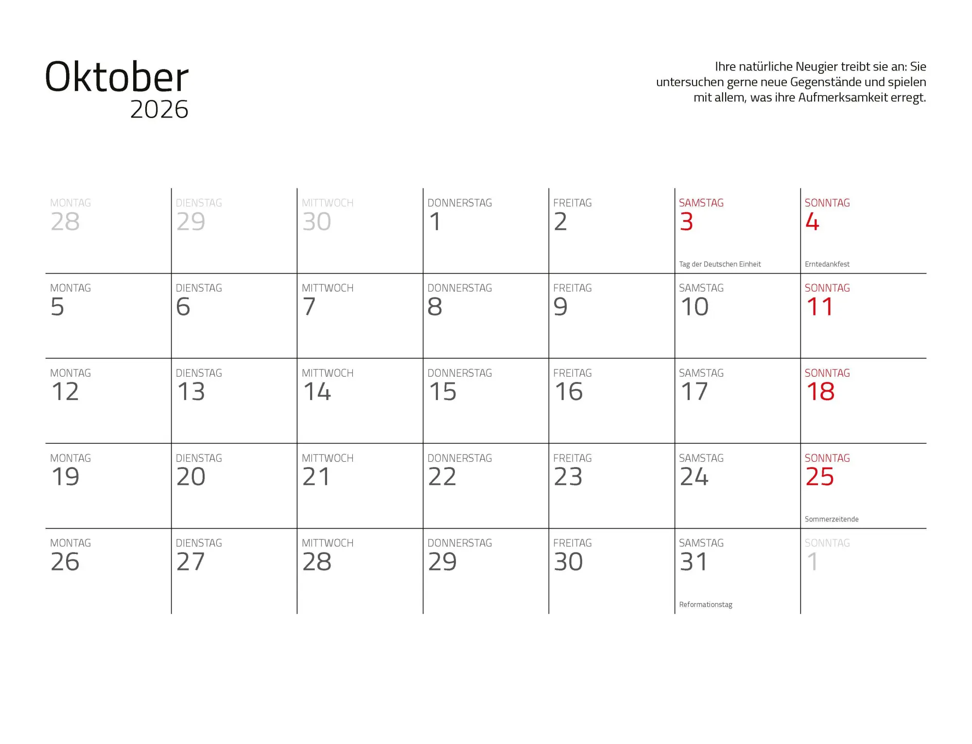 Bild: 9783966649964 | Otter Kalender 2026 Wandkalender Eintragkalender | Kalender | 14 S. Bild: 9783966649964 | Otter Kalender 2026 Wandkalender Eintragkalender | Kalender | 14 S.