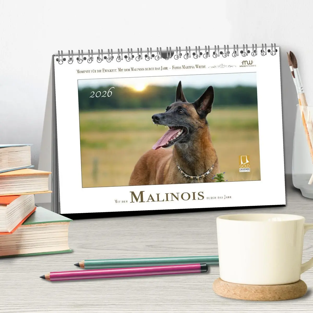 Bild: 9783457280065 | Mit dem Malinois durch das Jahr (Tischkalender 2026 DIN A5 quer),...
