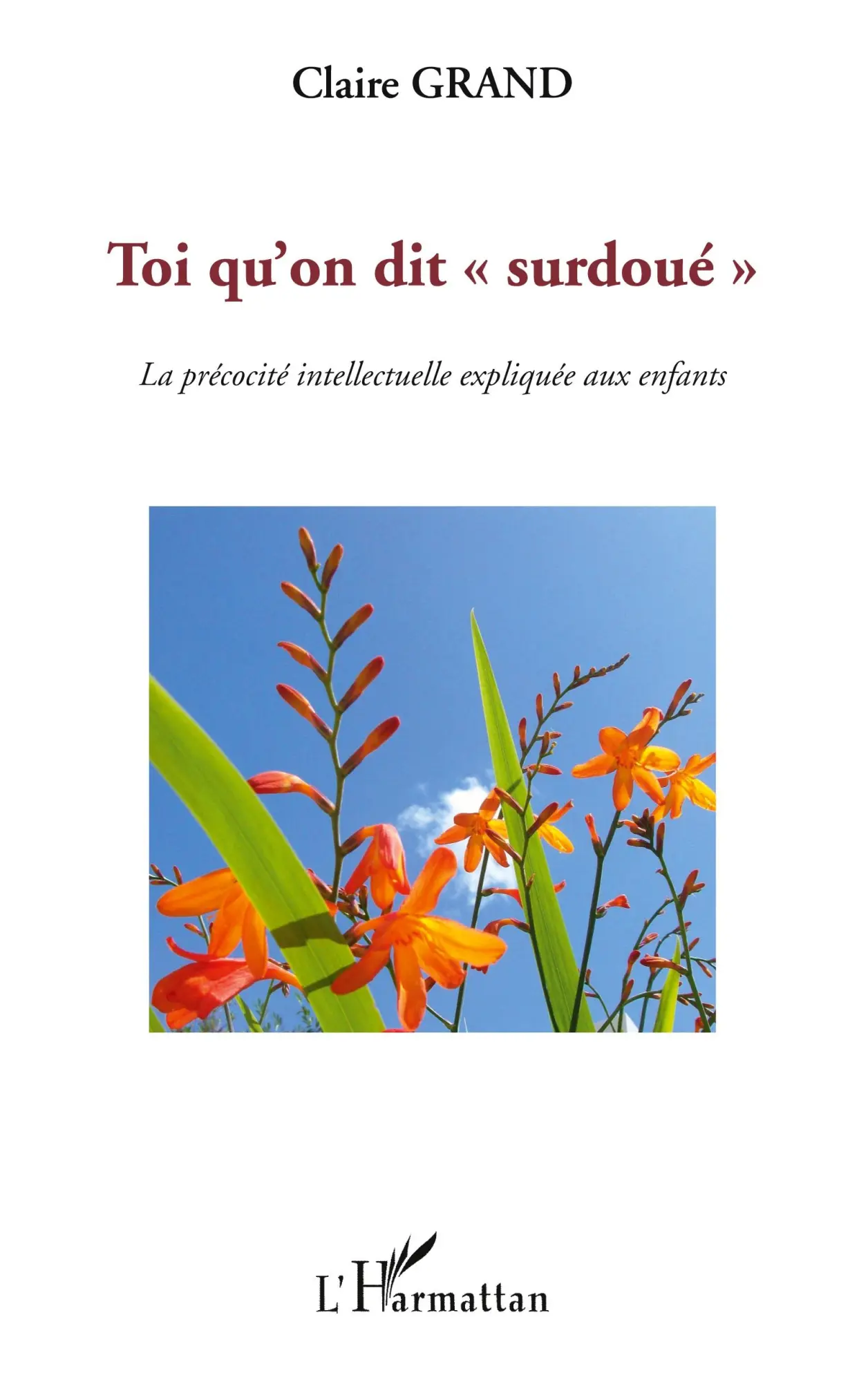 Cover: 9782296140165 | Toi qu'on dit "surdoué" | Claire Grand | Taschenbuch | 92 S. | 2020