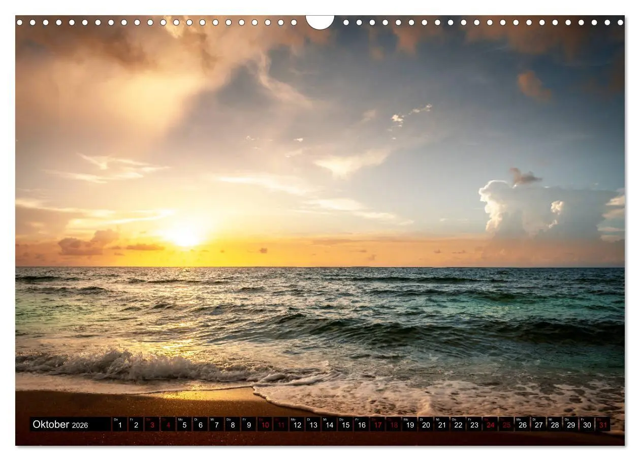 Bild: 9783457890165 | Florida. Der Sonne entgegen. (Wandkalender 2026 DIN A3 quer),...