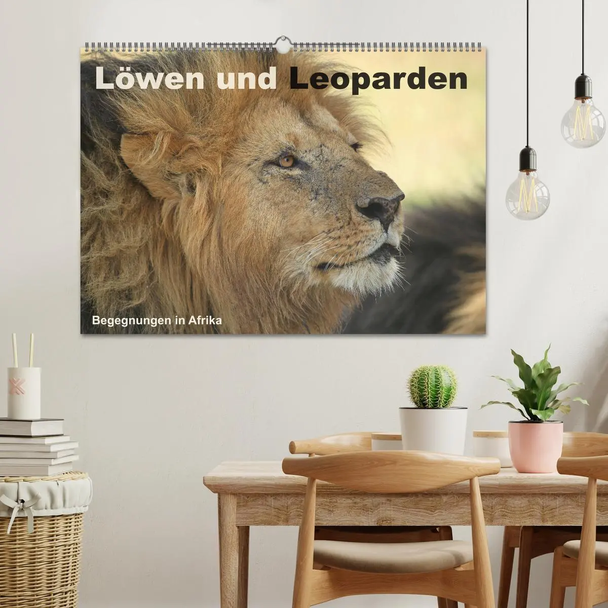 Bild: 9783516050165 | Löwen und Leoparden - Begegnungen in Afrika (Wandkalender 2026 DIN...