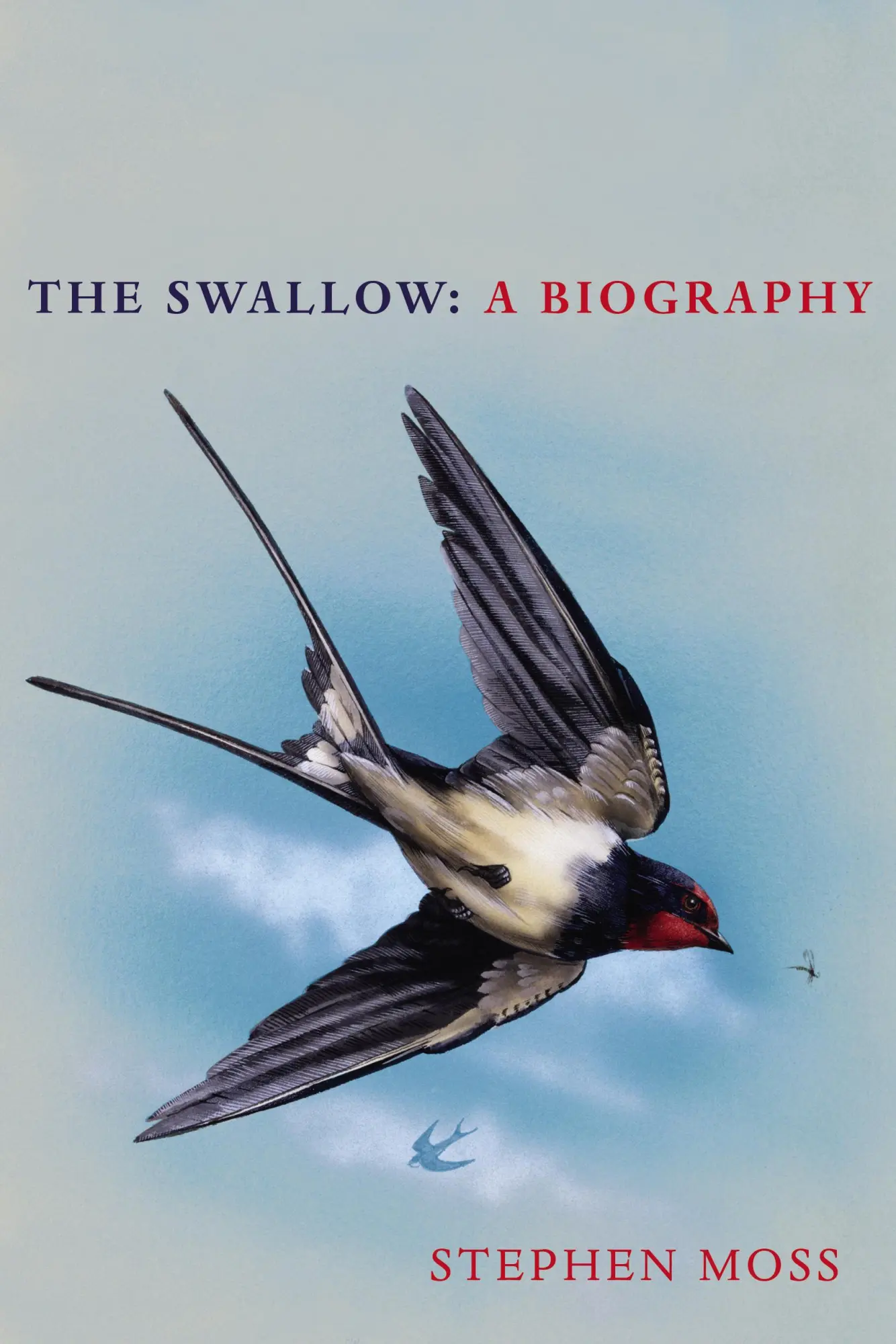 Cover: 9781529110265 | The Swallow: A Biography | Stephen Moss | Buch | 208 S. | Englisch