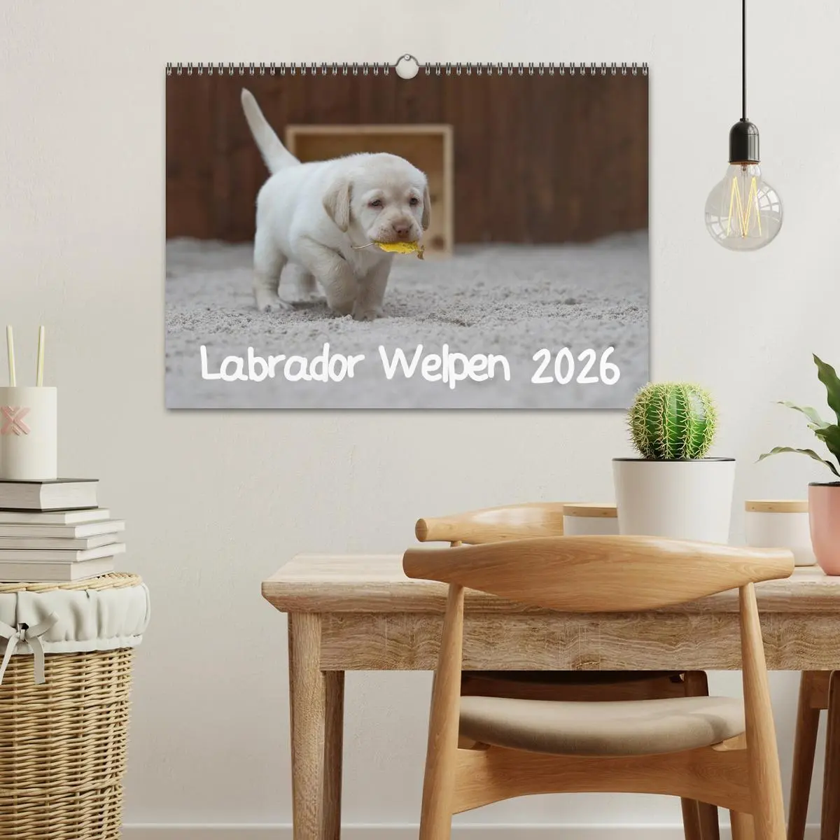 Bild: 9783516110265 | Labrador Welpen (Wandkalender 2026 DIN A3 quer), CALVENDO...