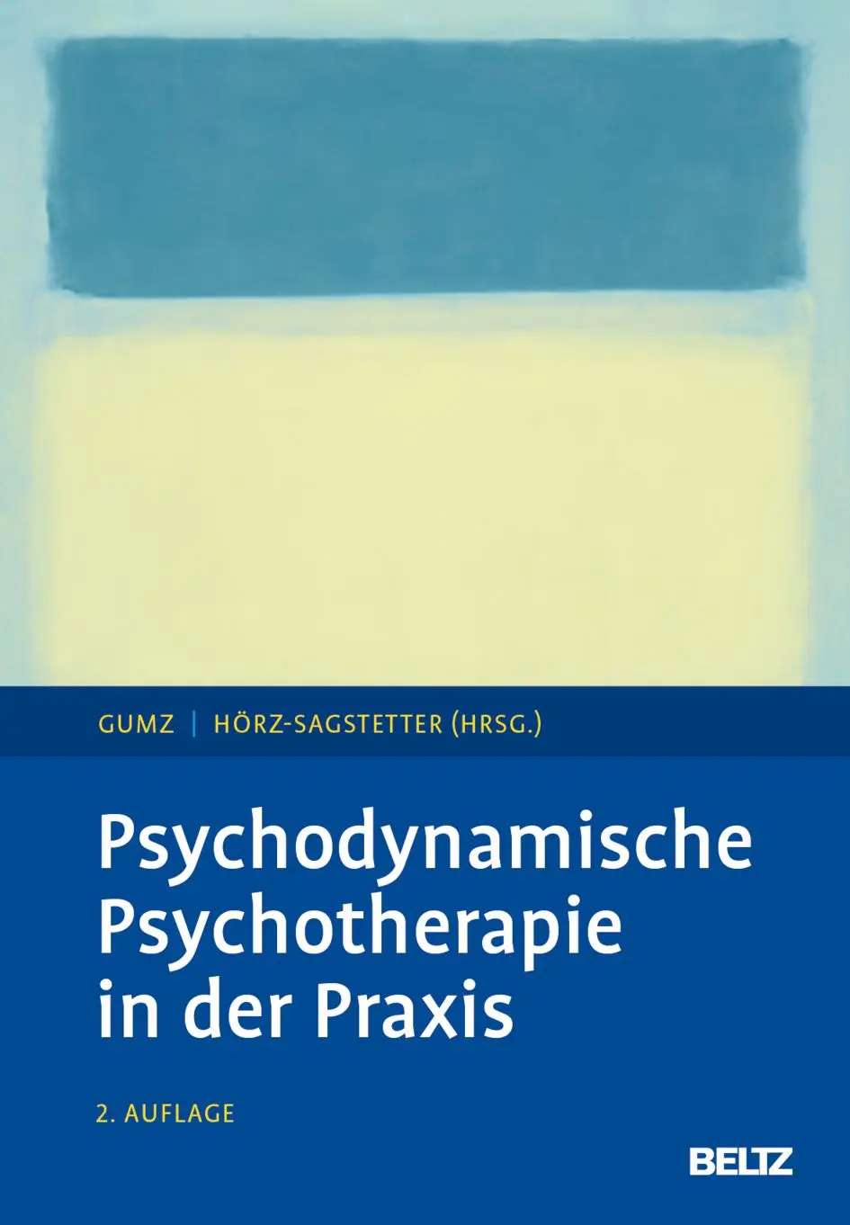 Cover: 9783621290265 | Psychodynamische Psychotherapie in der Praxis | Antje Gumz (u. a.)