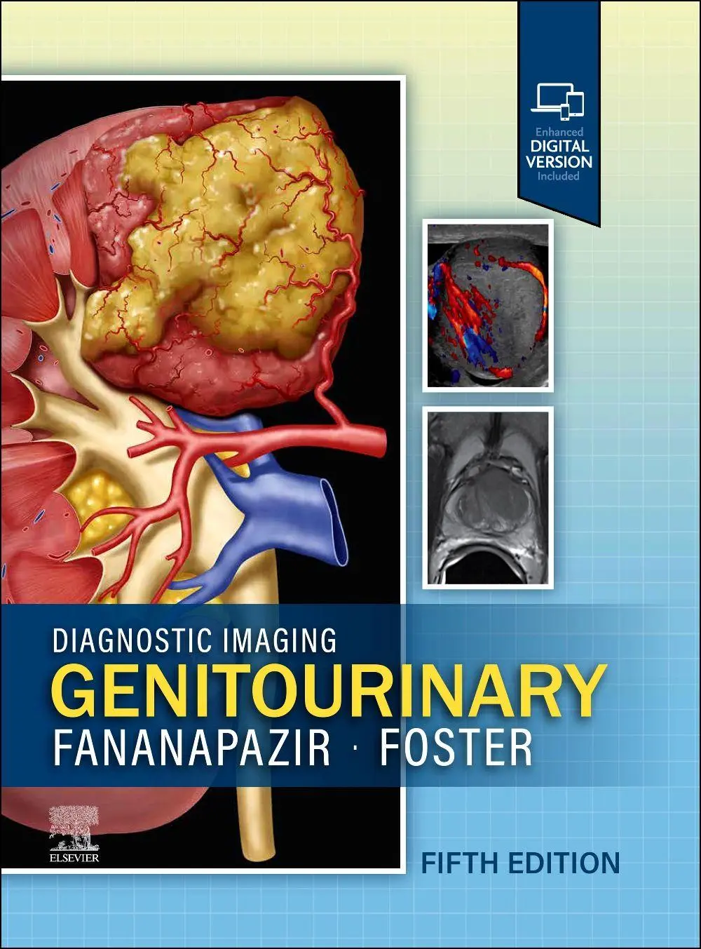 Cover: 9780443380365 | Diagnostic Imaging: Genitourinary | Ghaneh Fananapazir (u. a.) | Buch