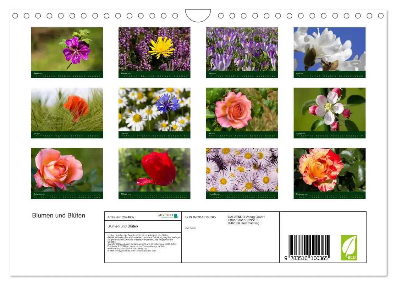 Bild: 9783516100365 | Blumen und Blüten (Wandkalender 2026 DIN A4 quer), CALVENDO...