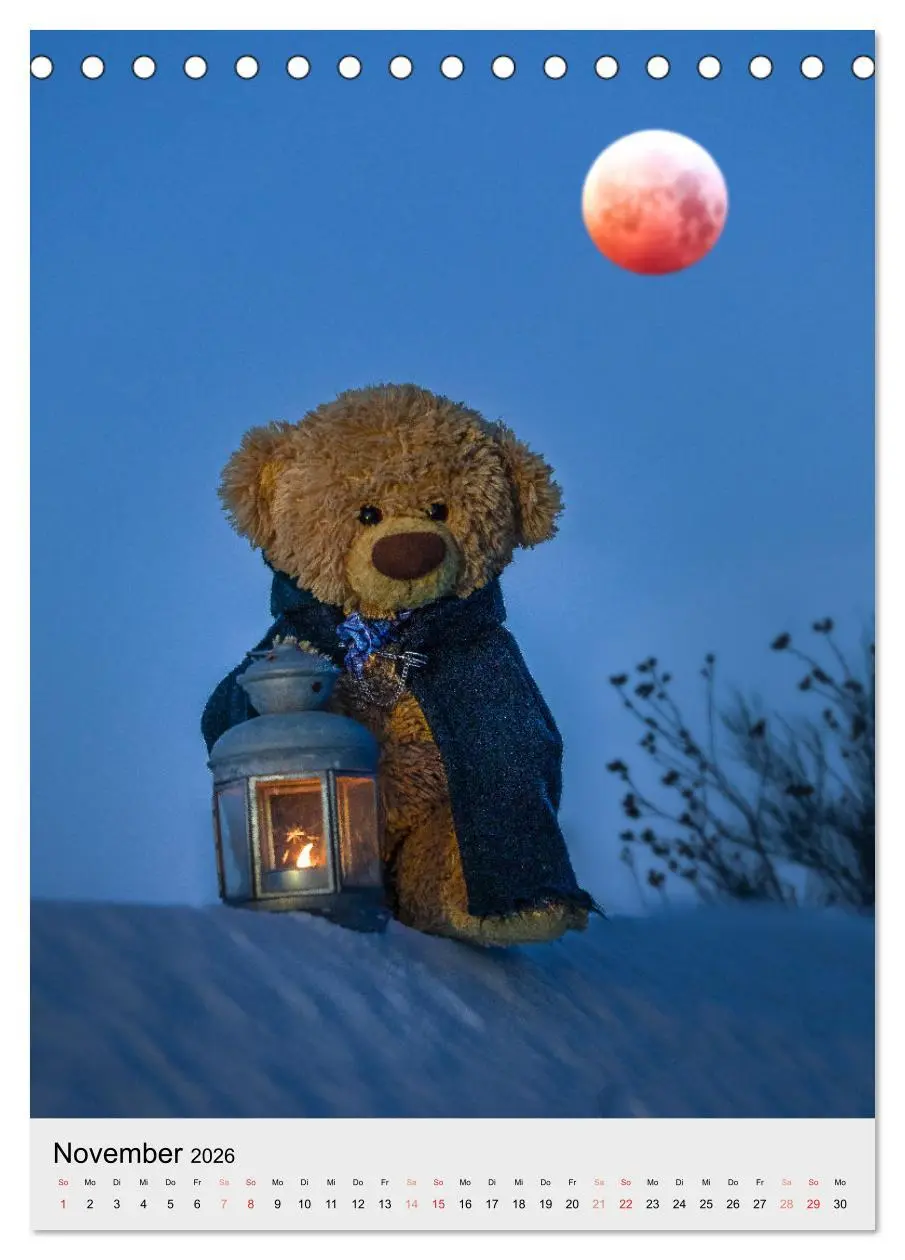 Bild: 9783516340365 | Travelling Teddy liebt es Bunt (Tischkalender 2026 DIN A5 hoch),...