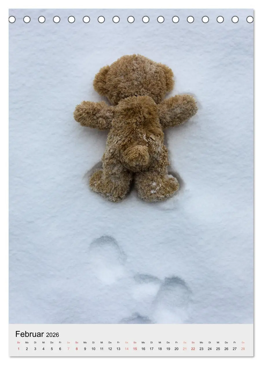 Bild: 9783516340365 | Travelling Teddy liebt es Bunt (Tischkalender 2026 DIN A5 hoch),...