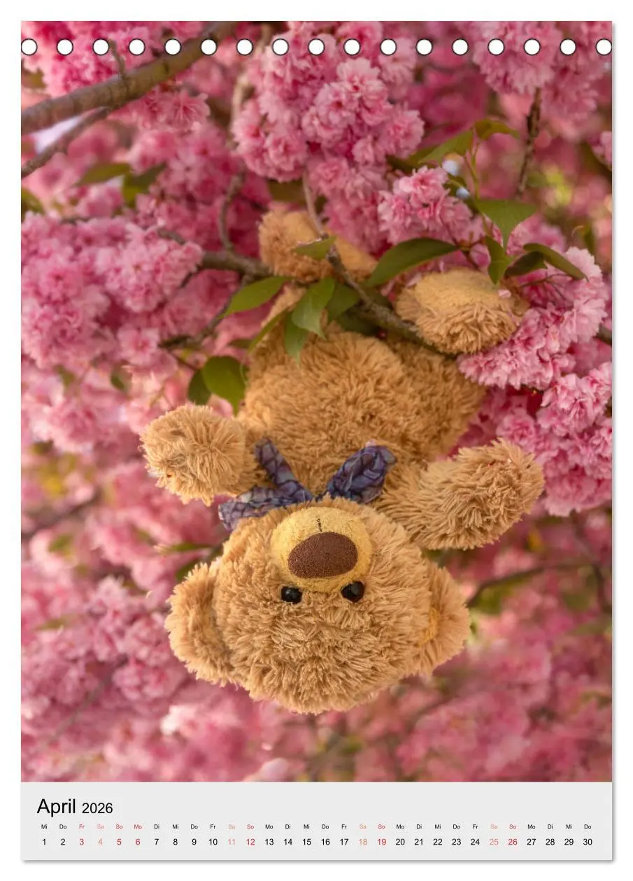 Bild: 9783516340365 | Travelling Teddy liebt es Bunt (Tischkalender 2026 DIN A5 hoch),...
