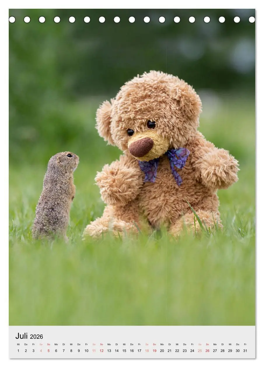 Bild: 9783516340365 | Travelling Teddy liebt es Bunt (Tischkalender 2026 DIN A5 hoch),...