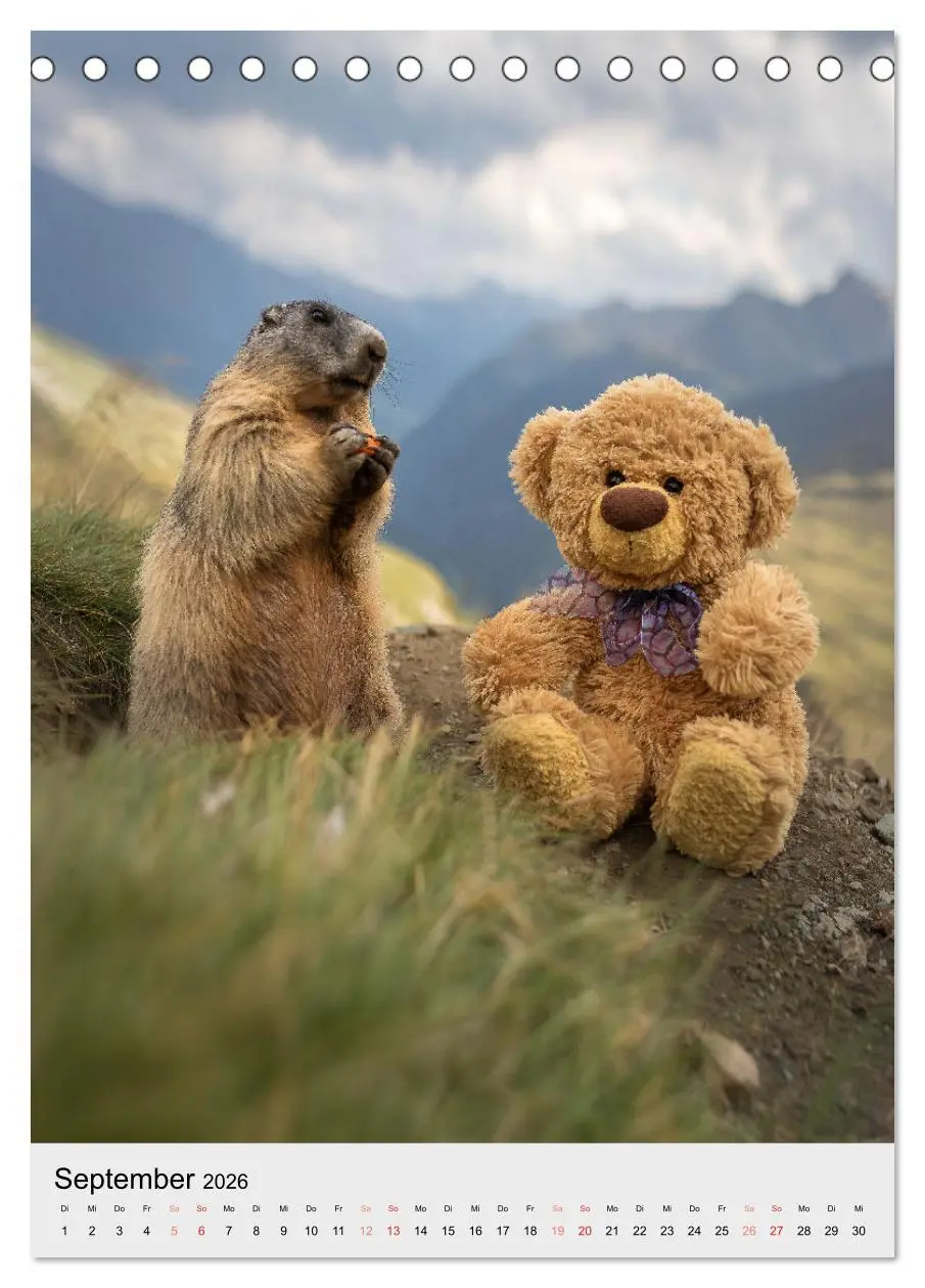 Bild: 9783516340365 | Travelling Teddy liebt es Bunt (Tischkalender 2026 DIN A5 hoch),...