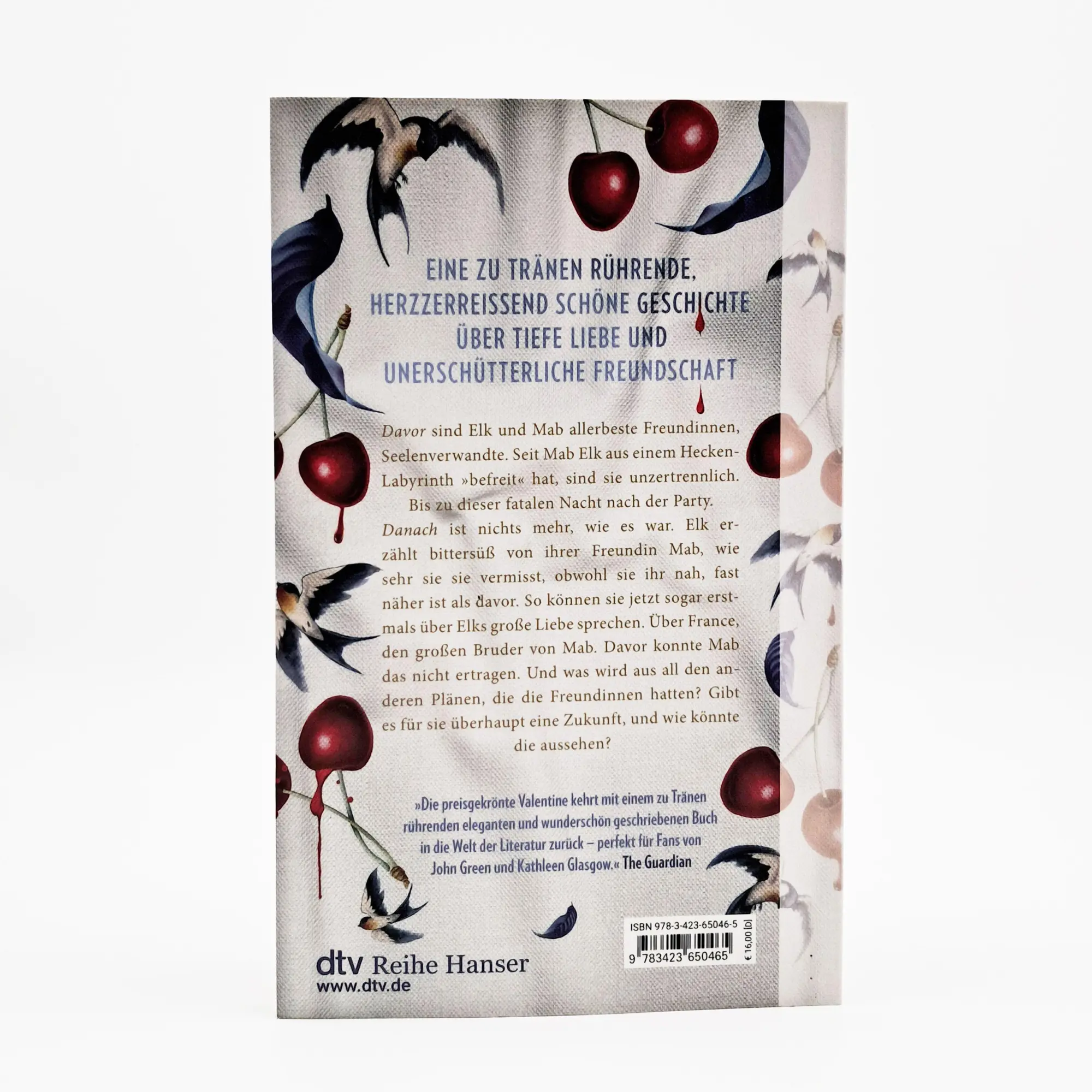 Bild: 9783423650465 | Zwei Seiten eines Augenblicks | Jenny Valentine | Taschenbuch | 192 S.