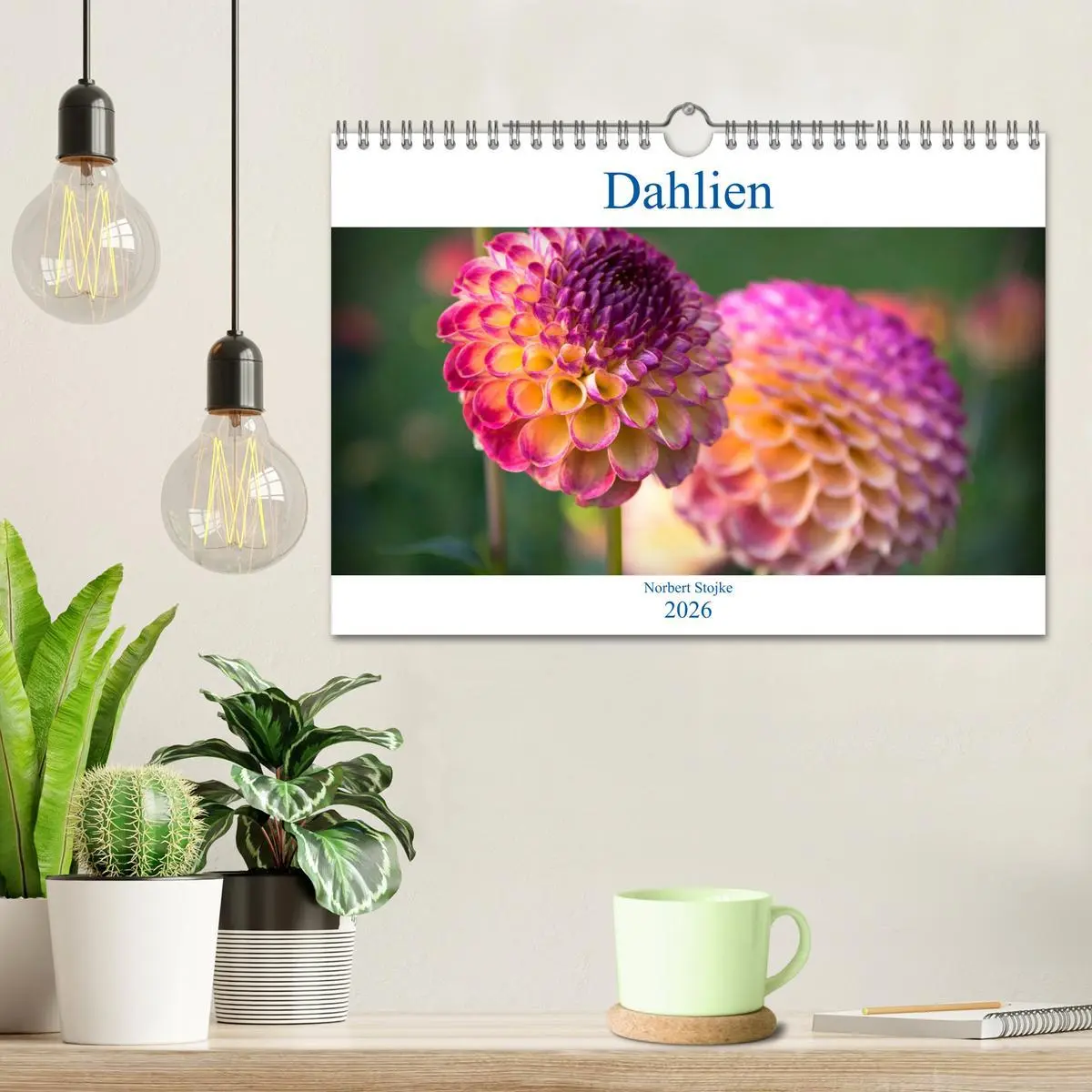 Bild: 9783457930465 | Dahlien - Blumenwunder der Natur (Wandkalender 2026 DIN A4 quer),...