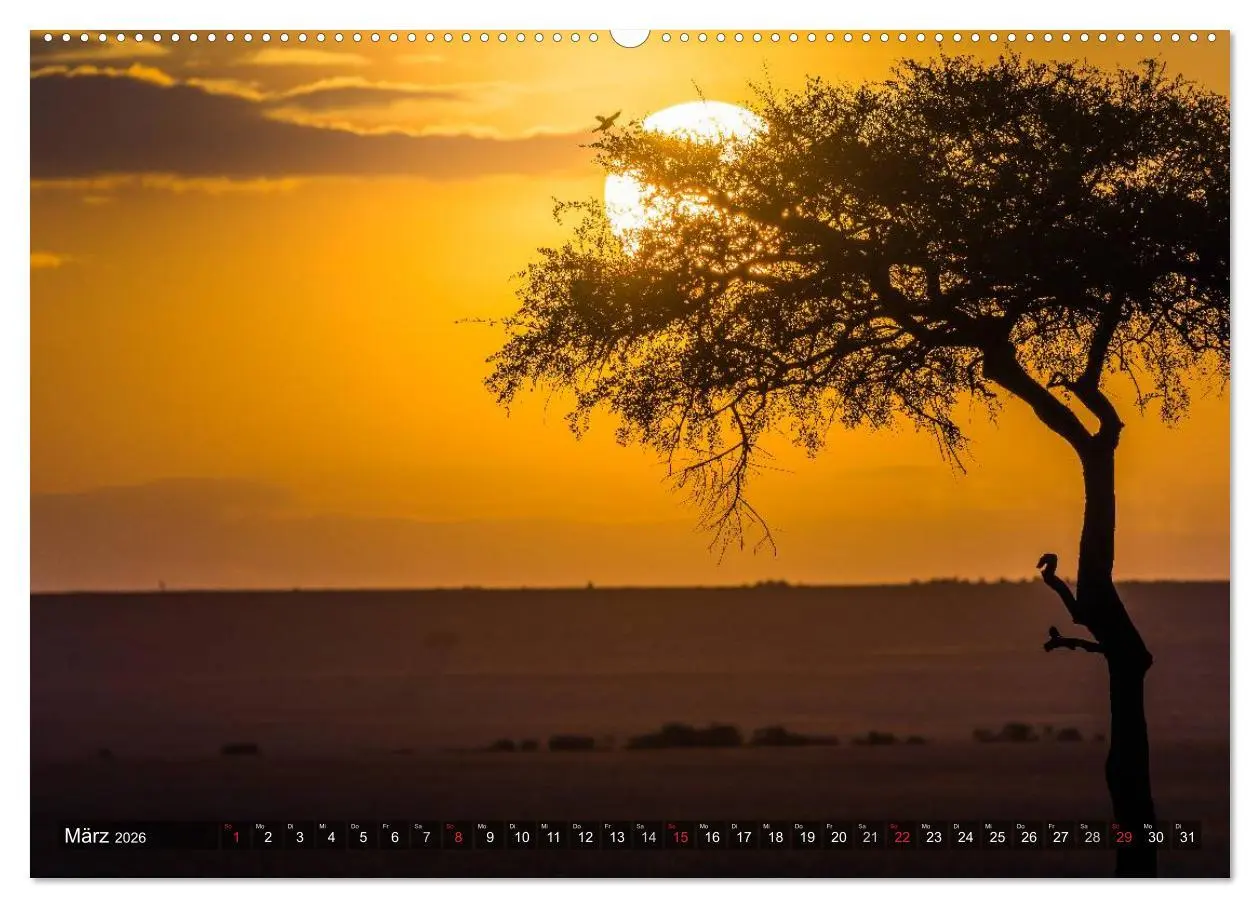 Bild: 9783516020465 | Ostafrika (Wandkalender 2026 DIN A2 quer), CALVENDO Monatskalender
