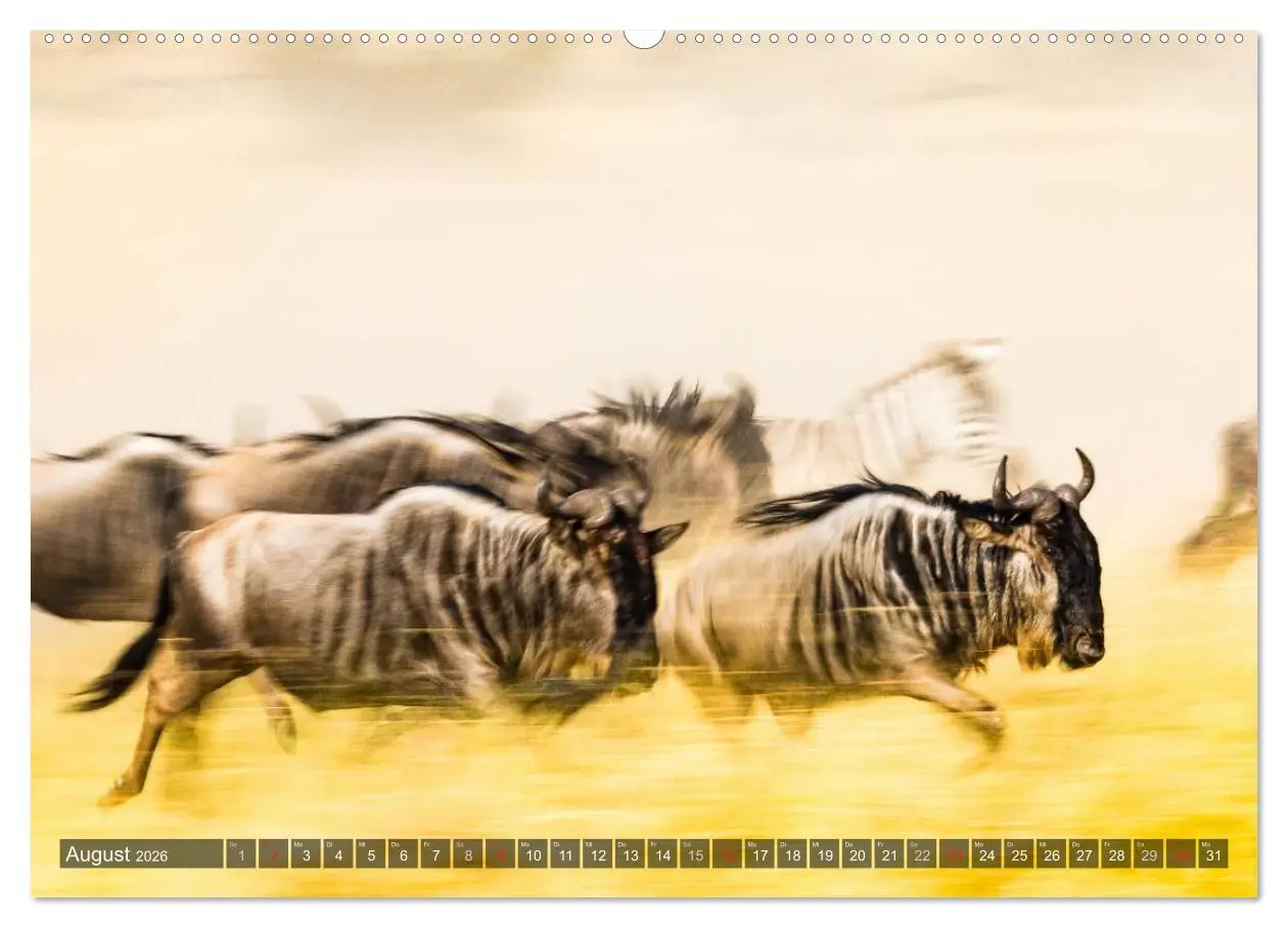 Bild: 9783516020465 | Ostafrika (Wandkalender 2026 DIN A2 quer), CALVENDO Monatskalender
