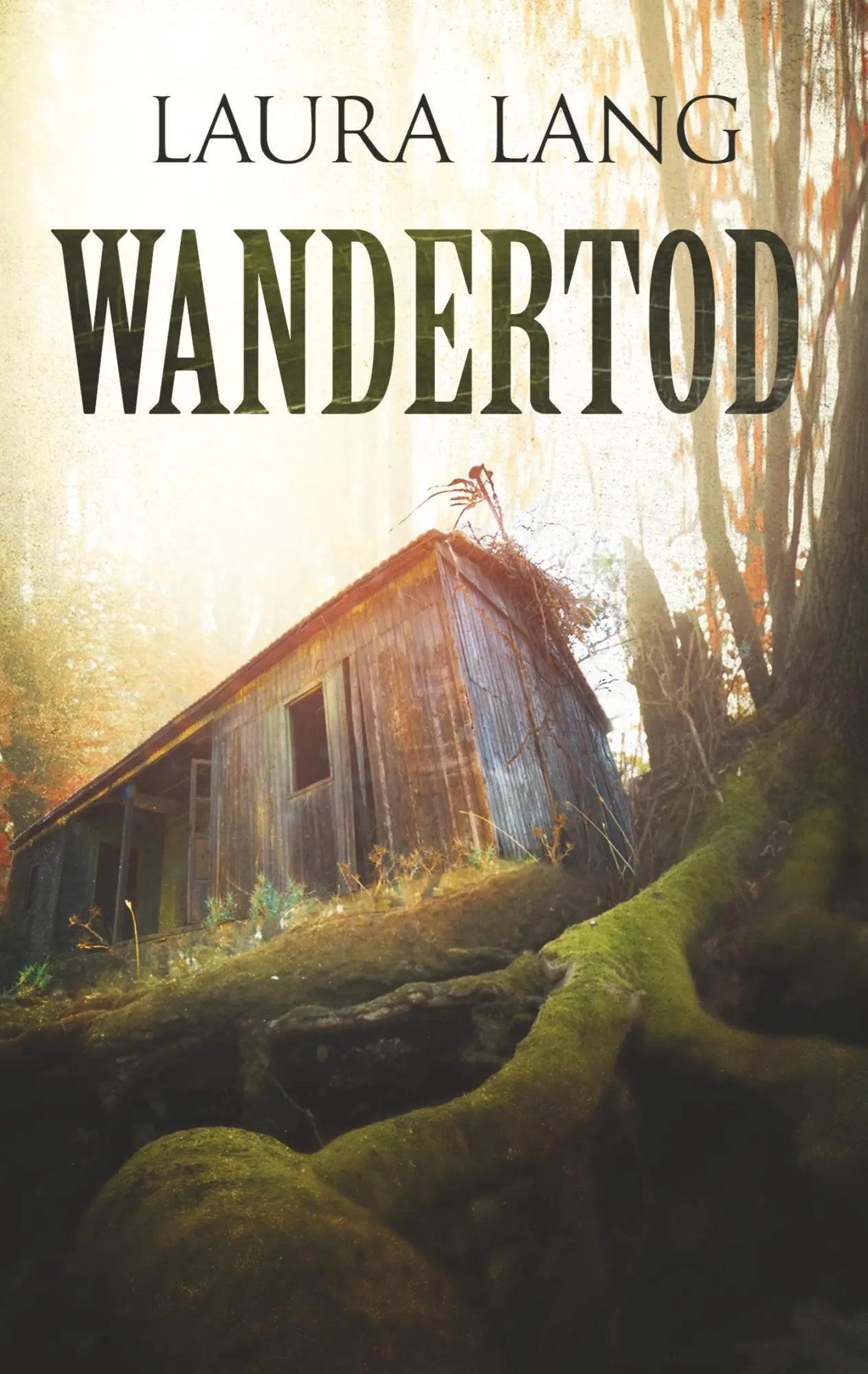 Cover: 9783748160465 | Wandertod | Laura Lang | Taschenbuch | 288 S. | Deutsch | 2019
