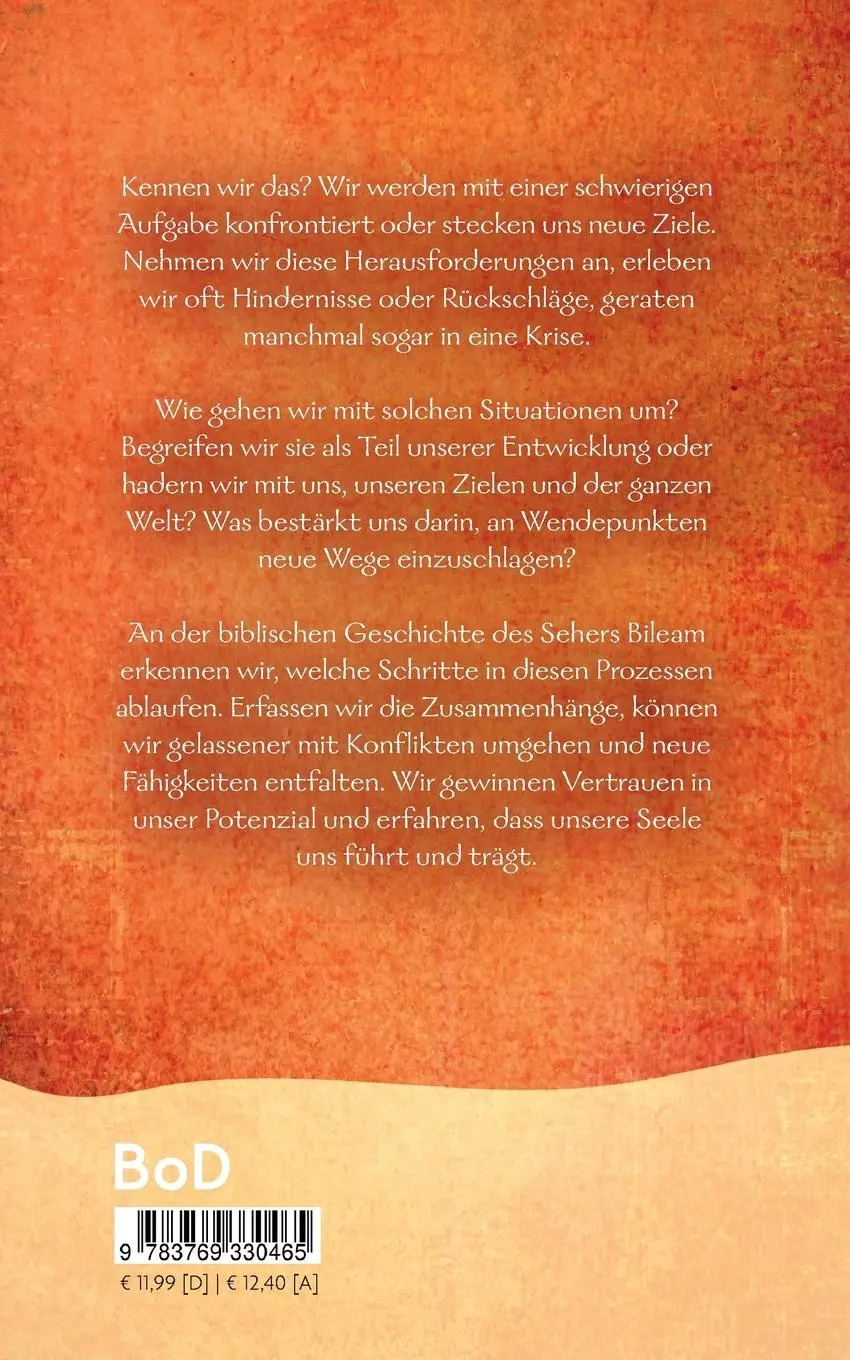 Rückseite: 9783769330465 | Der Bileam Prozess | Winfried Stöhr | Taschenbuch | 248 S. | Deutsch