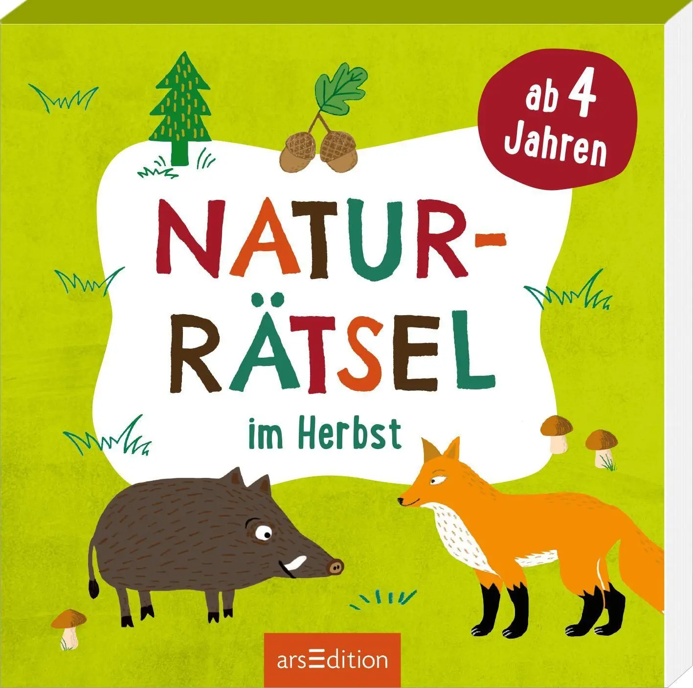Cover: 9783845870465 | Naturrätsel im Herbst | Ab 4 Jahren | Eleanor Sommer | Taschenbuch