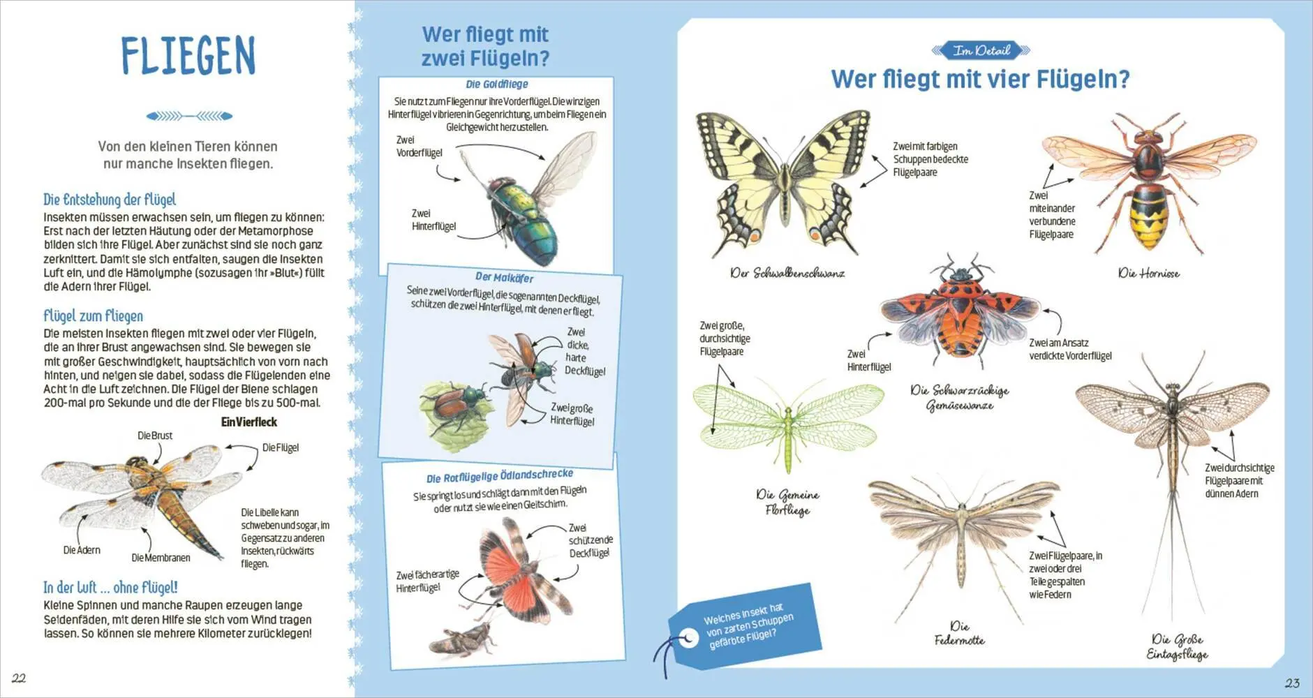 Bild: 9783730610565 | Das große Buch der kleinen Tiere | Nathalie Tordjman | Buch | 72 S.