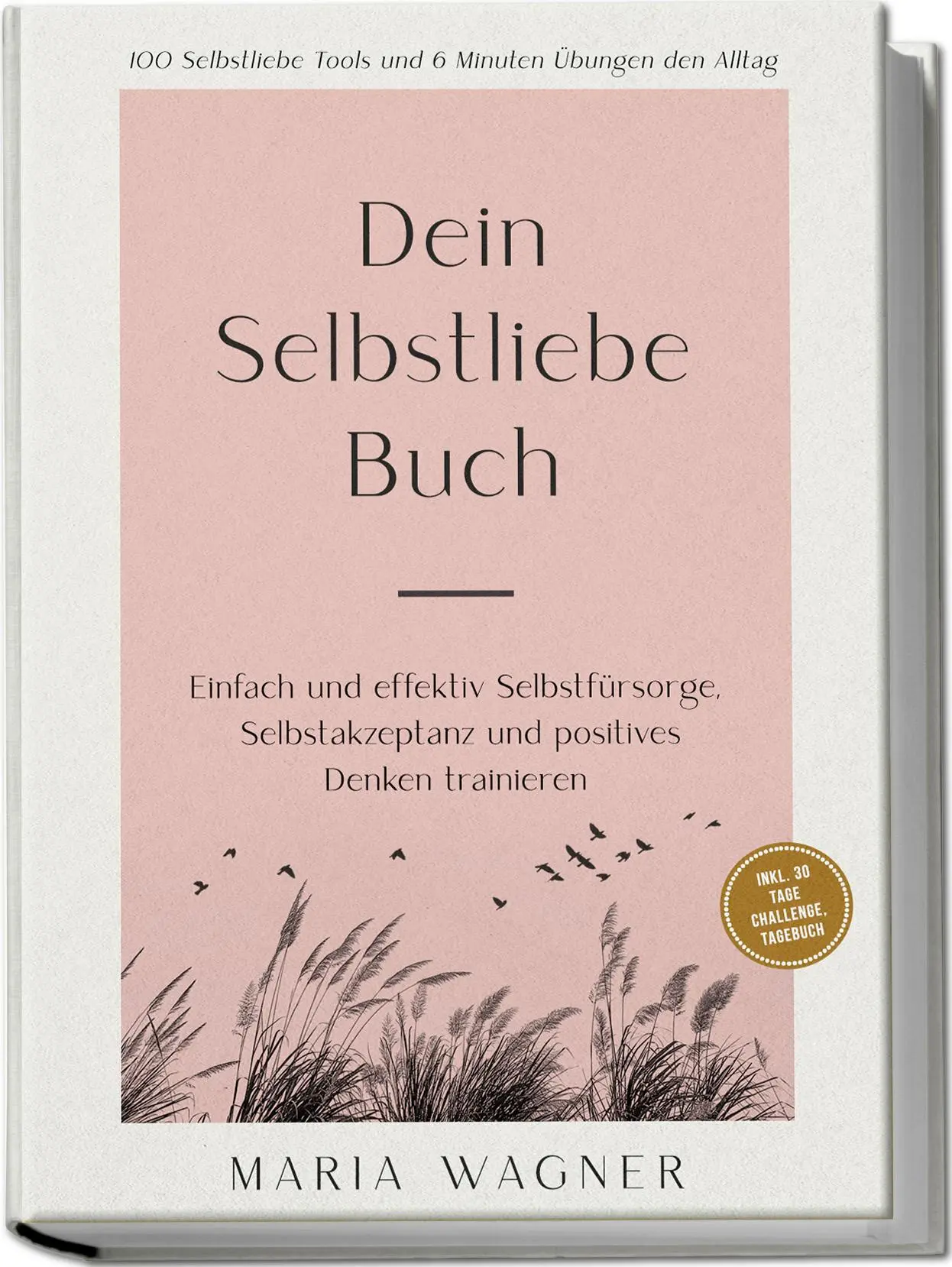 Cover: 9783989100565 | Dein Selbstliebe Buch: 100 Selbstliebe Tools und 6 Minuten Übungen...