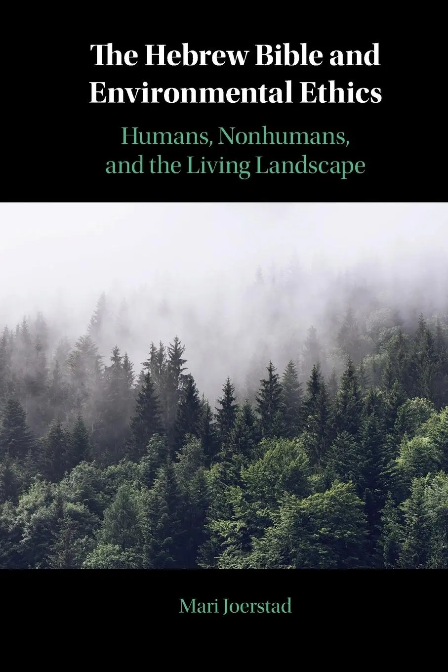 Cover: 9781108700665 | The Hebrew Bible and Environmental Ethics | Mari Joerstad | Buch