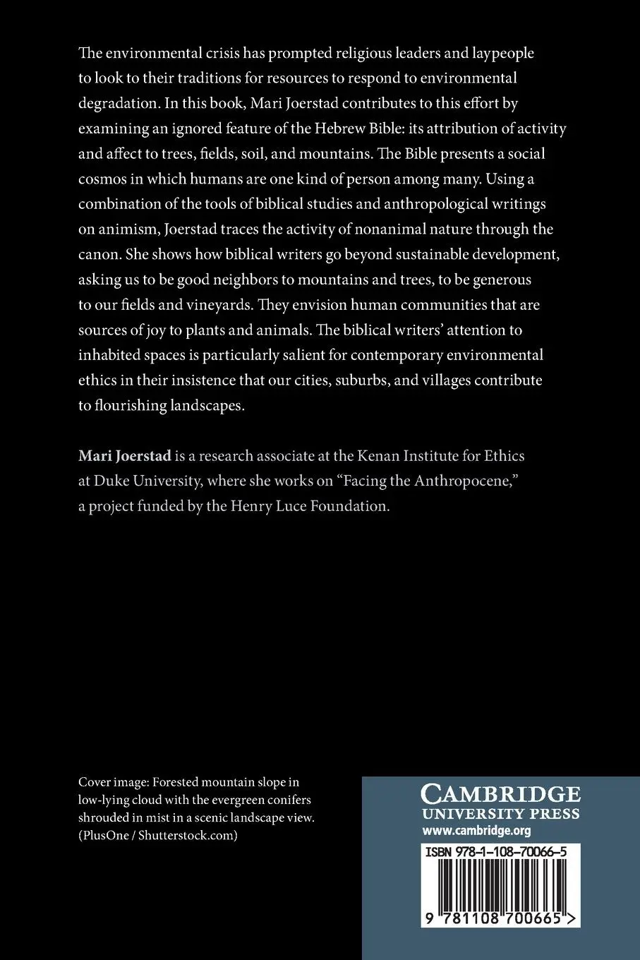 Rückseite: 9781108700665 | The Hebrew Bible and Environmental Ethics | Mari Joerstad | Buch