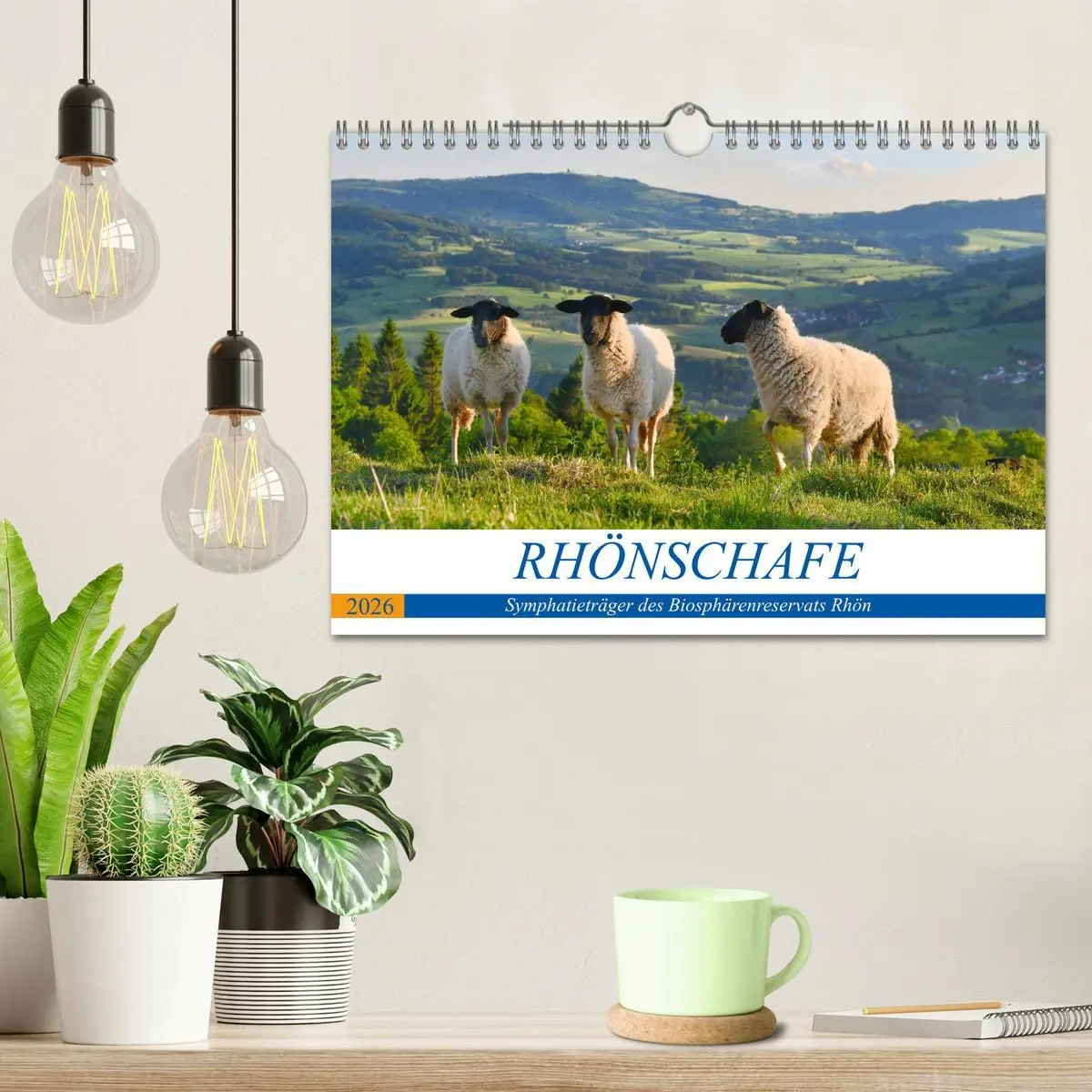 Bild: 9783457690765 | Rhönschafe - Symphatieträger des Biosphärenreservats Rhön...