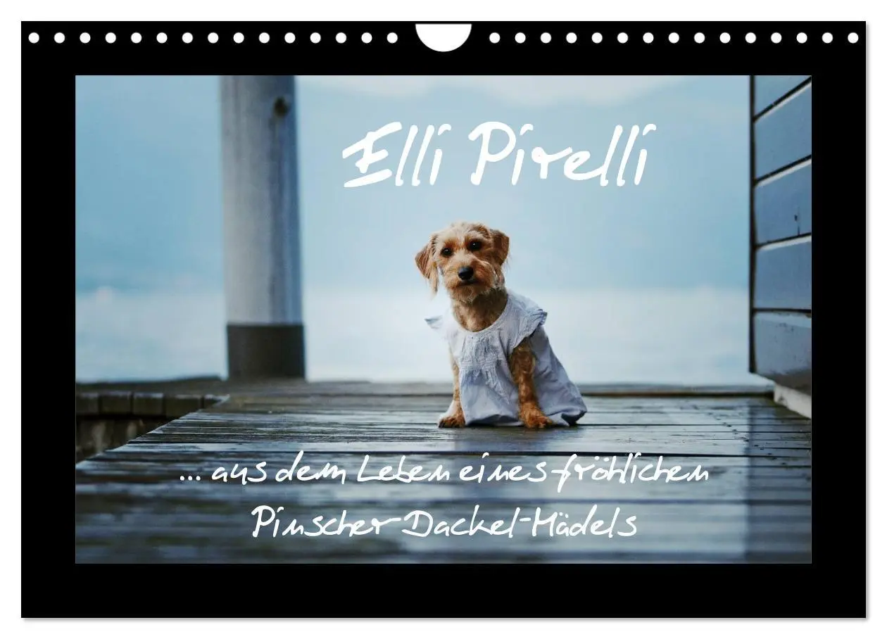 Cover: 9783516160765 | Elli Pirelli... aus dem Leben eines fröhlichen...