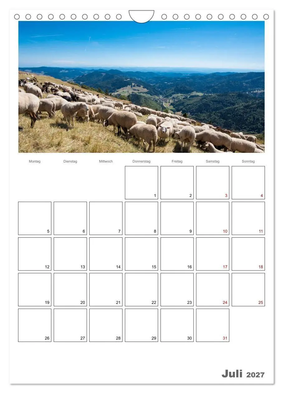 Bild: 9783569700765 | Schafe - 12 Monate in der Herde (Wandkalender 2027 DIN A4 hoch),...