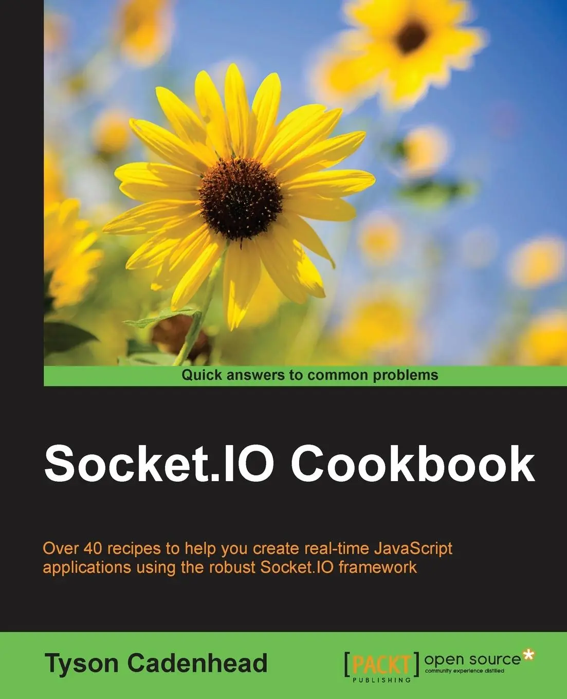 Cover: 9781785880865 | Socket.IO Cookbook | Tyson Cadenhead | Taschenbuch | Englisch | 2015