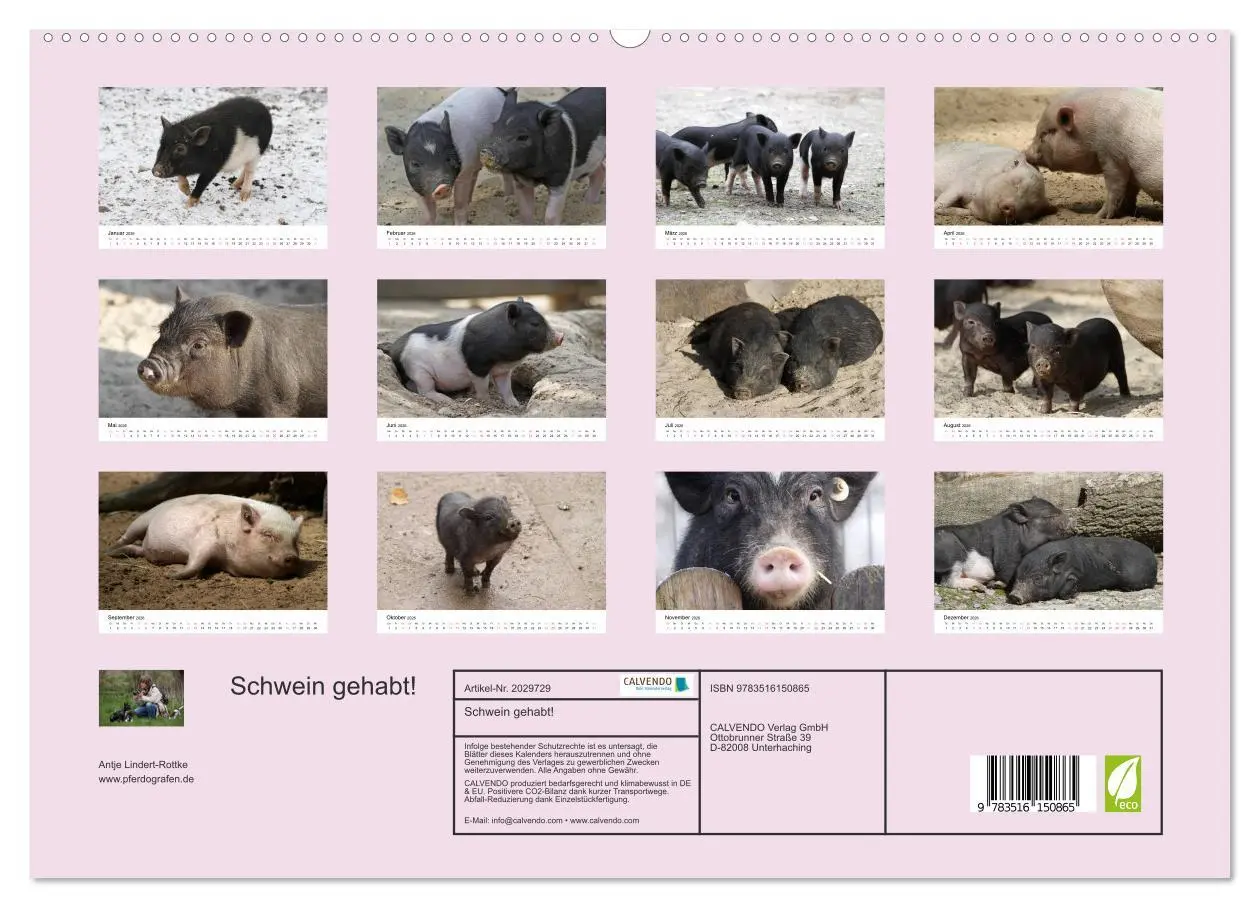 Bild: 9783516150865 | Schwein gehabt! (hochwertiger Premium Wandkalender 2026 DIN A2...