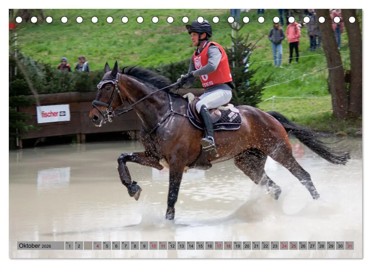 Bild: 9783457430965 | Buschreiter in Aktion (Tischkalender 2026 DIN A5 quer), CALVENDO...
