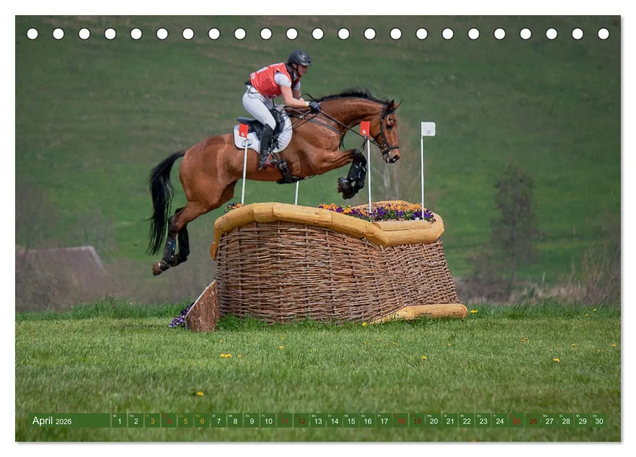 Bild: 9783457430965 | Buschreiter in Aktion (Tischkalender 2026 DIN A5 quer), CALVENDO...