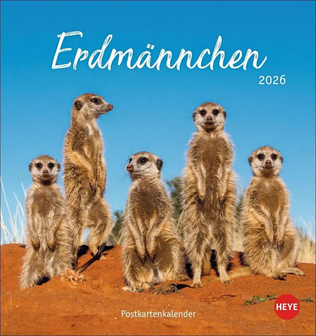 Cover: 9783756410965 | Erdmännchen Postkartenkalender 2026 | Heye | Kalender | Spiralbindung