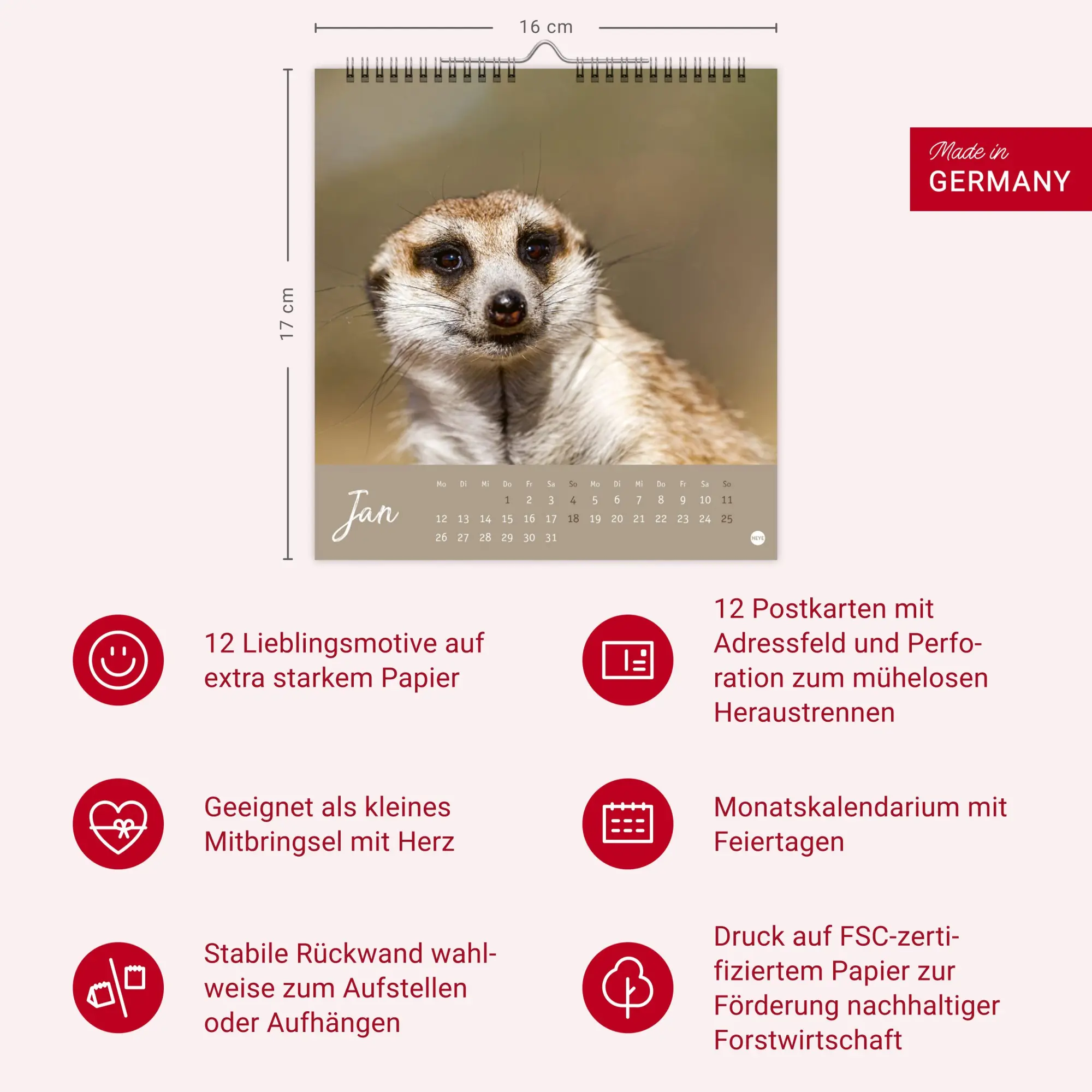 Bild: 9783756410965 | Erdmännchen Postkartenkalender 2026 | Heye | Kalender | Spiralbindung