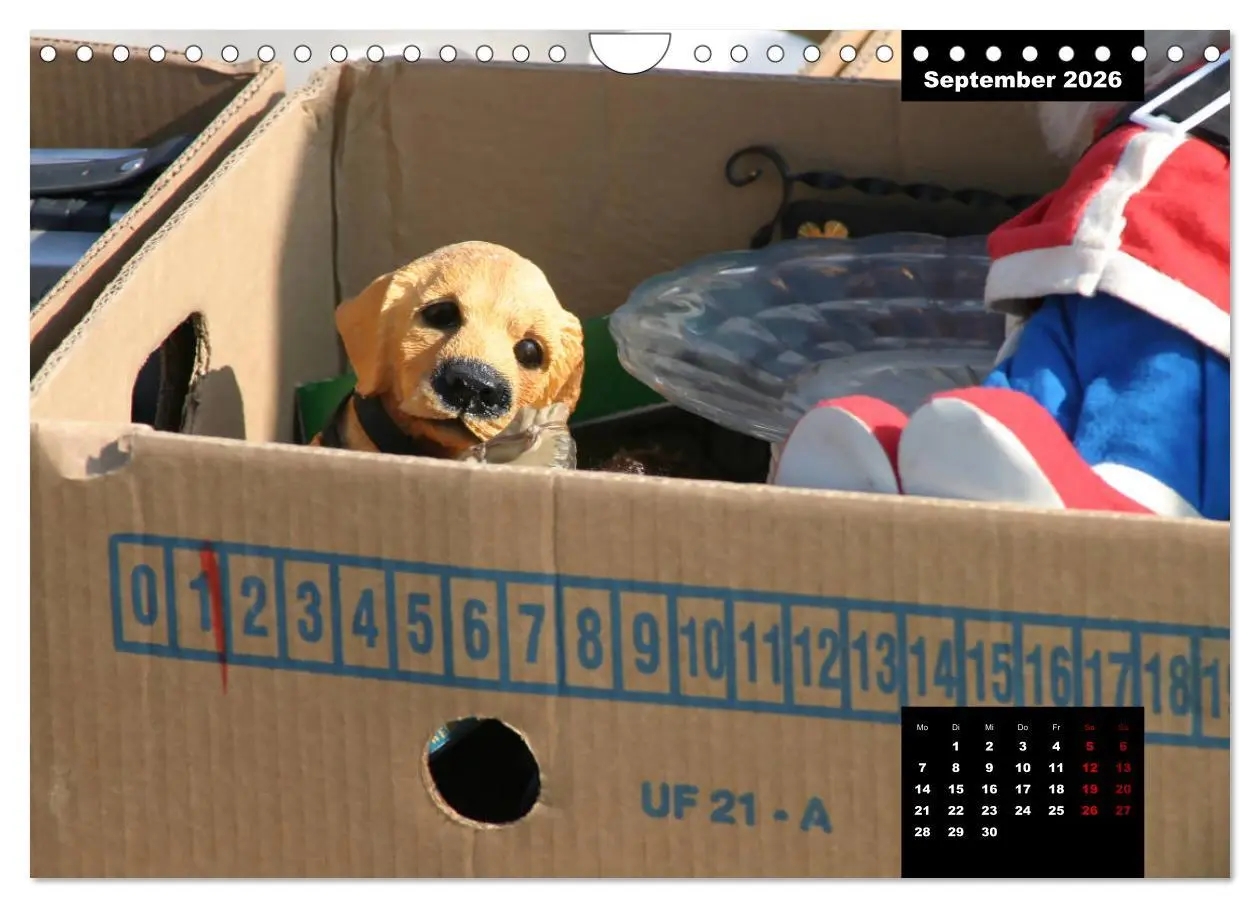 Bild: 9783457701065 | Trödel, Flohmarkt &amp; Antikes (Wandkalender 2026 DIN A4 quer),...