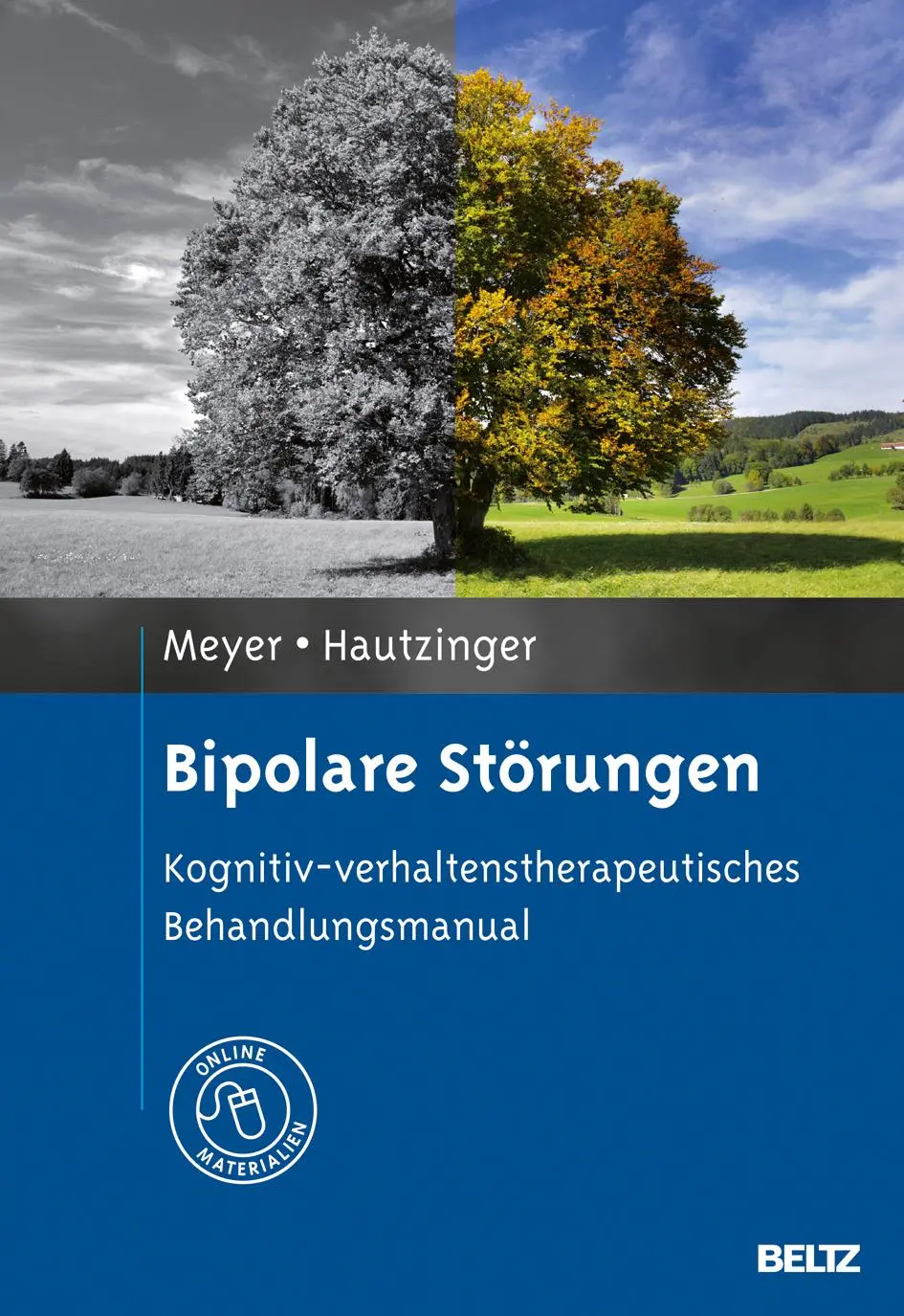 Cover: 9783621281065 | Bipolare Störungen | Thomas D. Meyer (u. a.) | Buch | 206 S. | Deutsch