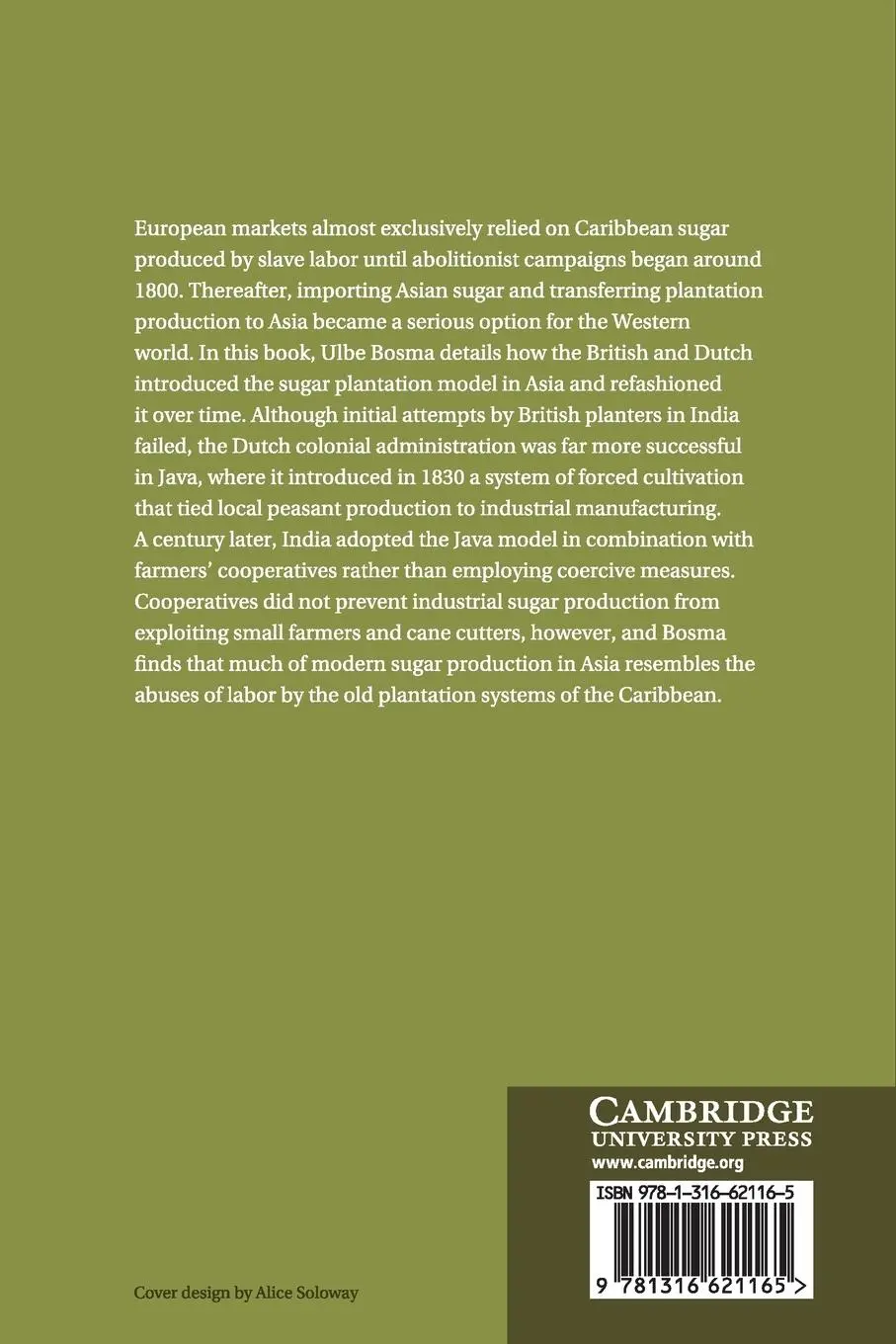 Rückseite: 9781316621165 | The Sugar Plantation in India and Indonesia | Ulbe Bosma | Taschenbuch