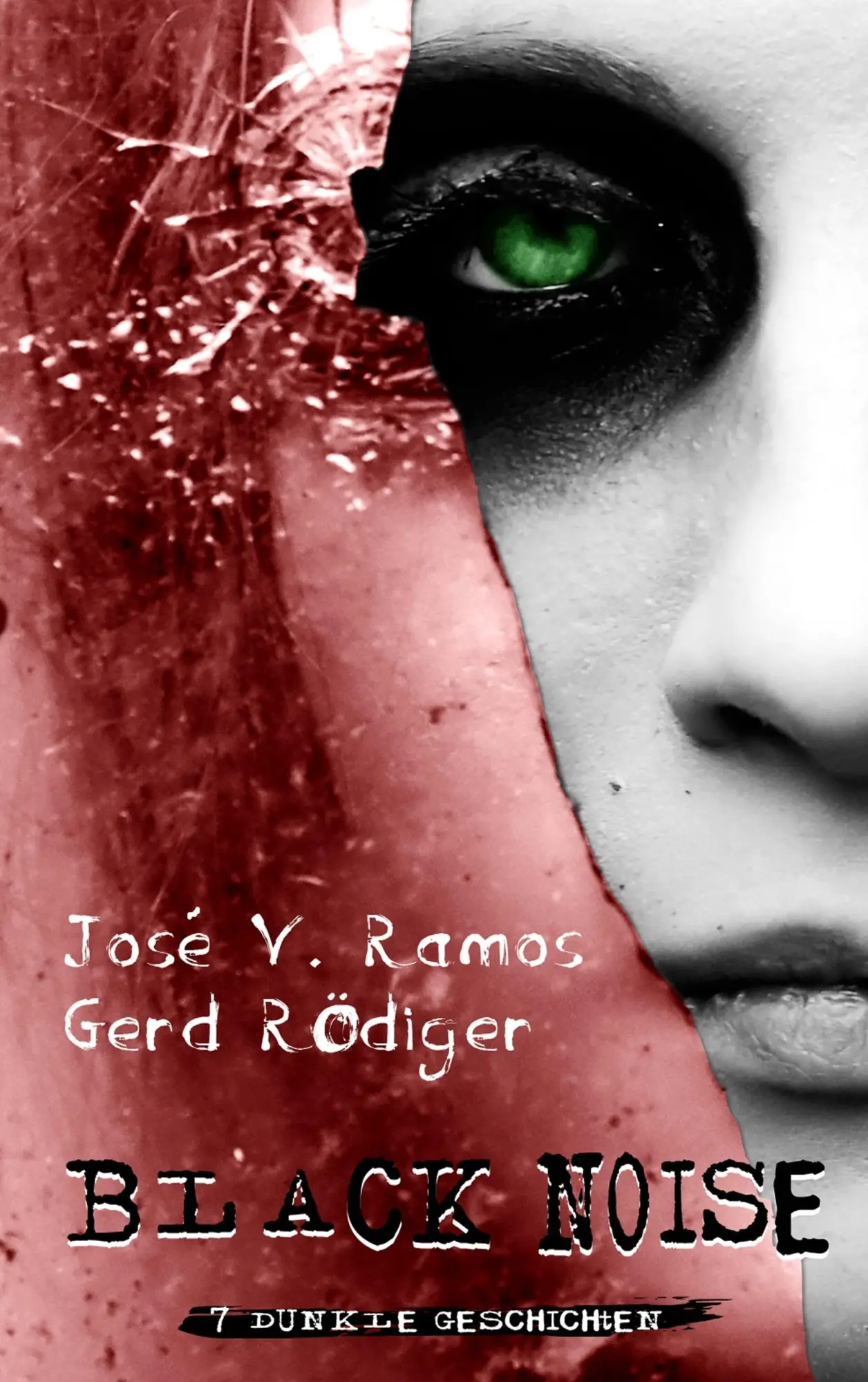 Cover: 9783738641165 | Black Noise | 7 dunkle Geschichten | José V. Ramos (u. a.) | Buch
