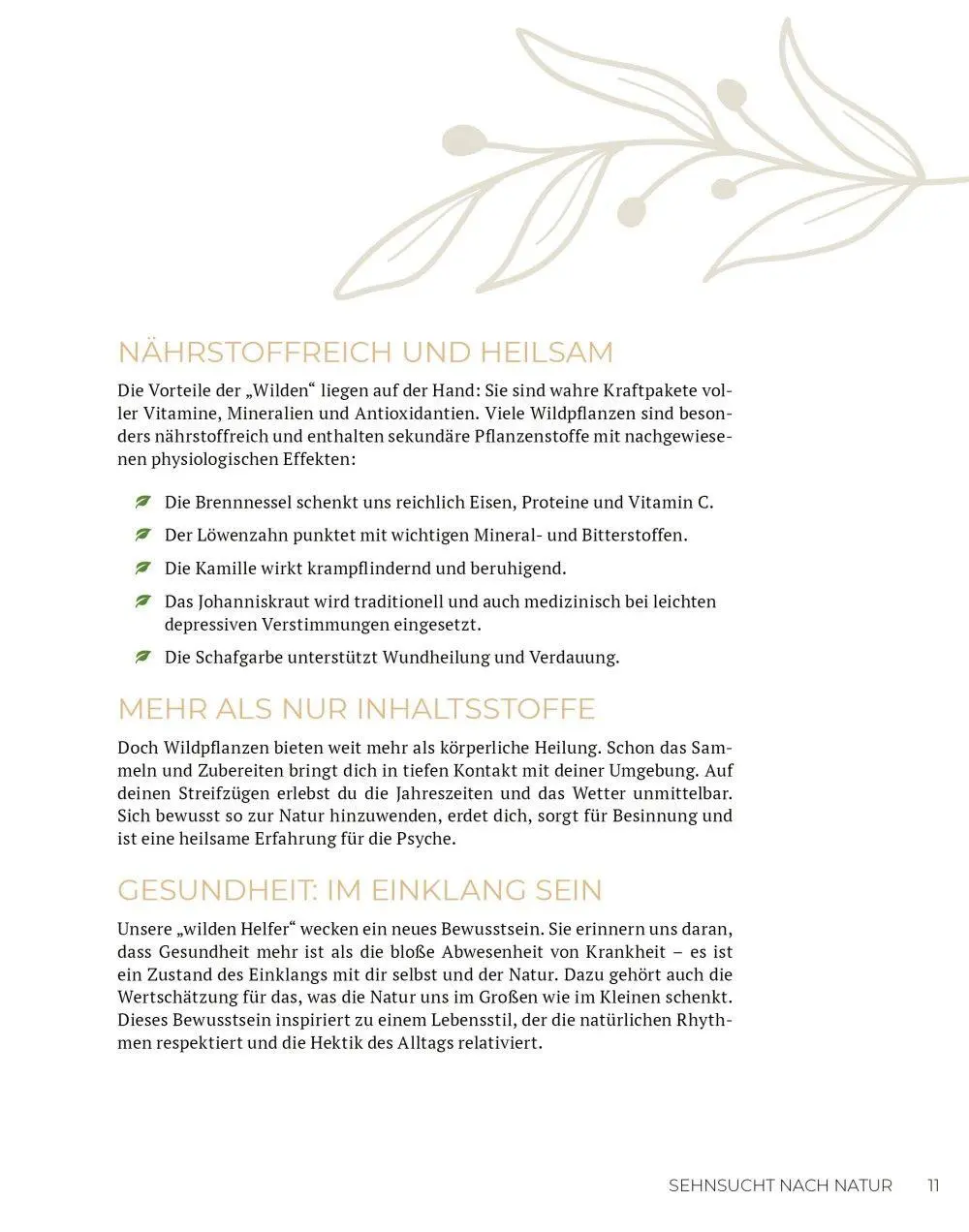 Bild: 9783910801165 | Wilde Kraft | Denise Felber | Taschenbuch | Kostbare Natur | 208 S.