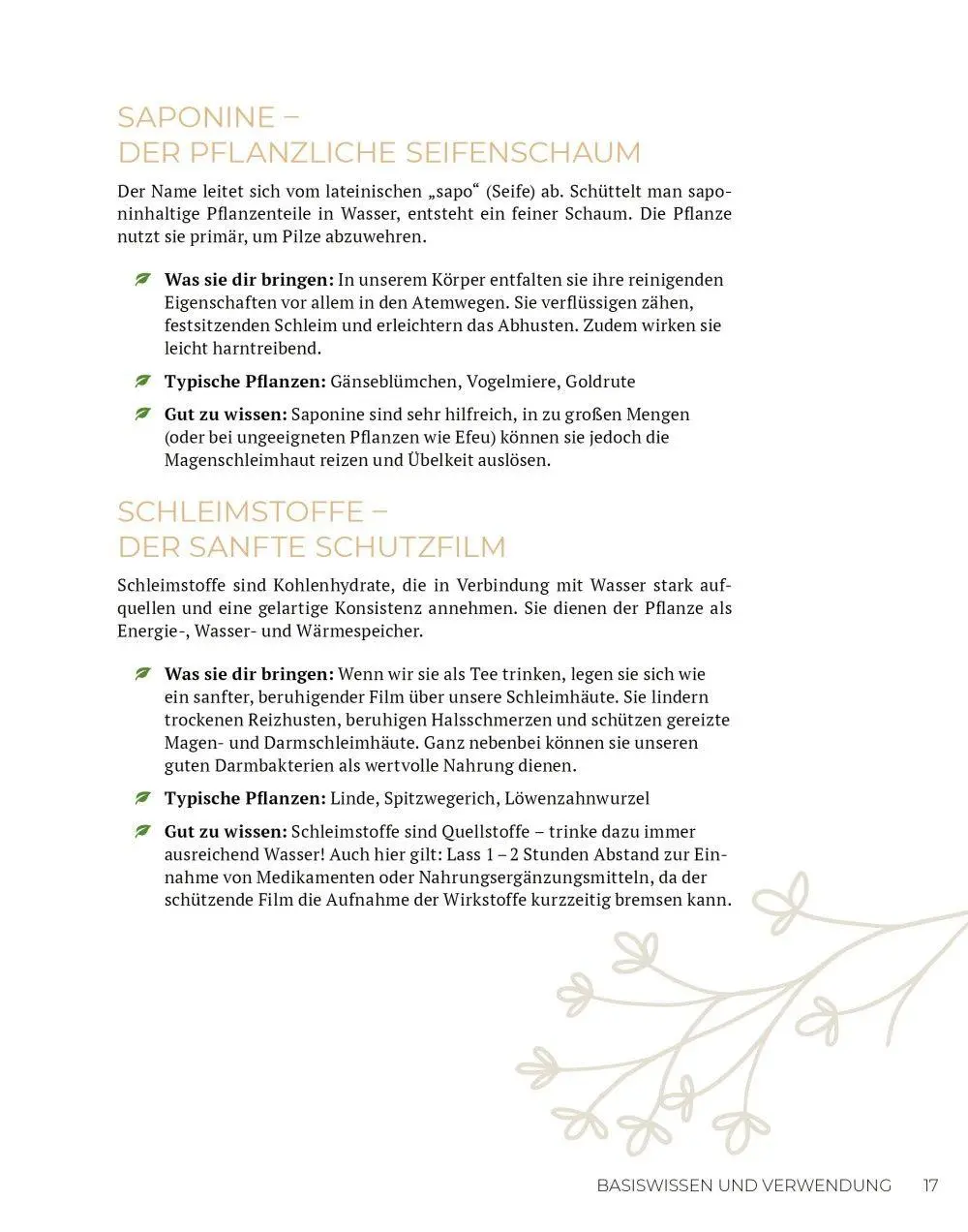 Bild: 9783910801165 | Wilde Kraft | Denise Felber | Taschenbuch | Kostbare Natur | 208 S.