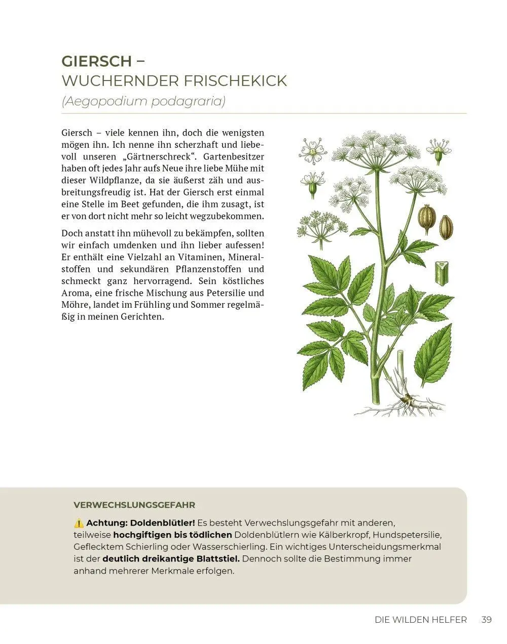 Bild: 9783910801165 | Wilde Kraft | Denise Felber | Taschenbuch | Kostbare Natur | 208 S.