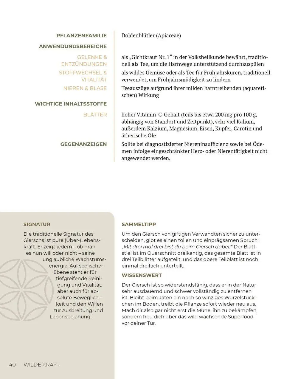 Bild: 9783910801165 | Wilde Kraft | Denise Felber | Taschenbuch | Kostbare Natur | 208 S.