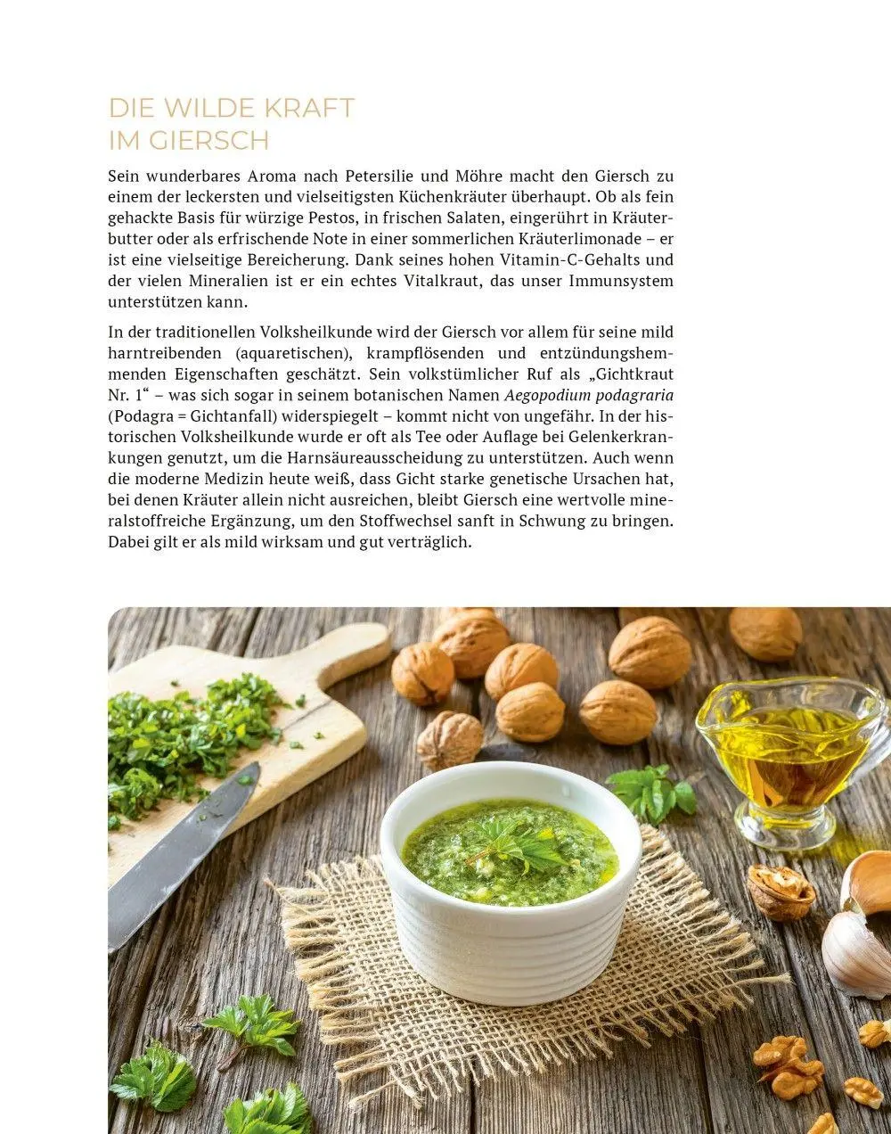 Bild: 9783910801165 | Wilde Kraft | Denise Felber | Taschenbuch | Kostbare Natur | 208 S.