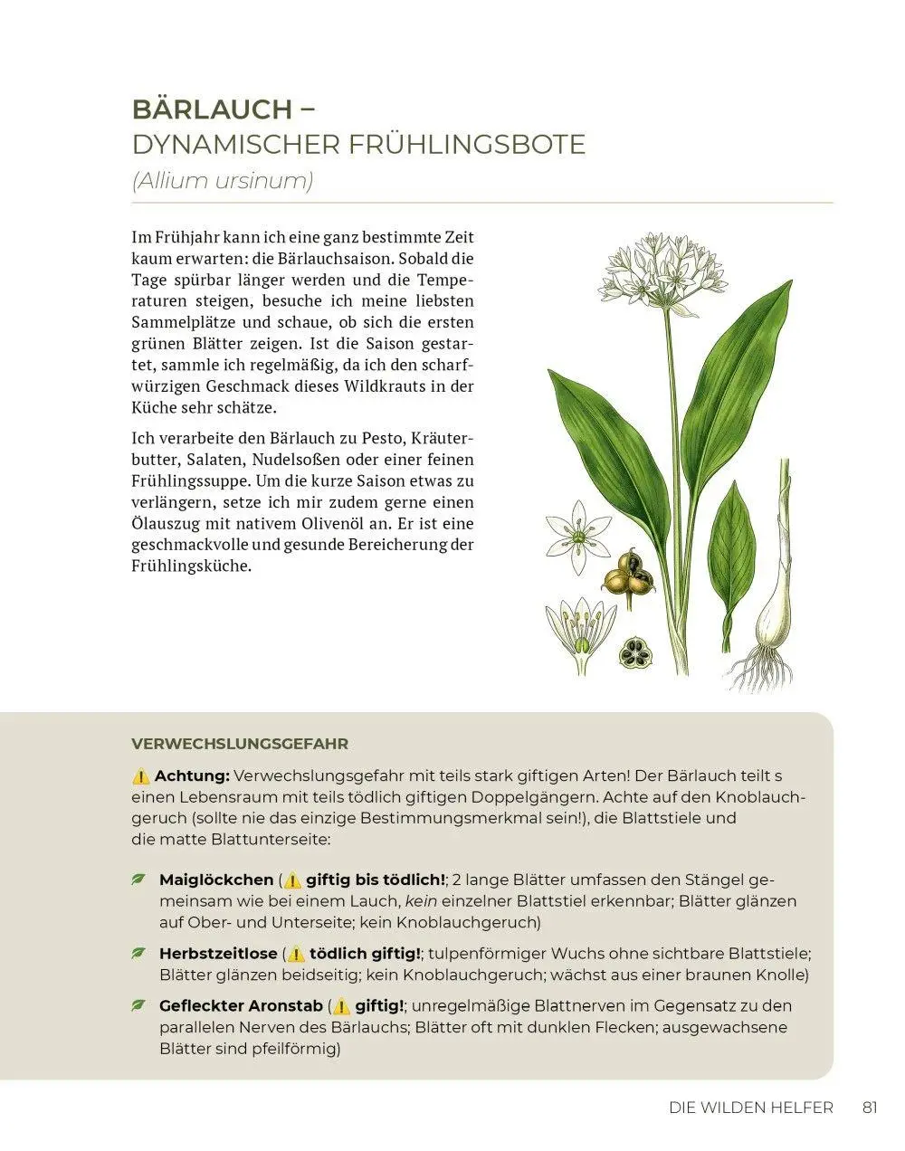 Bild: 9783910801165 | Wilde Kraft | Denise Felber | Taschenbuch | Kostbare Natur | 208 S.