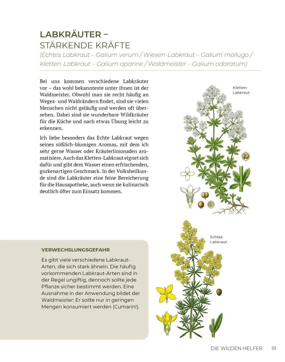 Bild: 9783910801165 | Wilde Kraft | Denise Felber | Taschenbuch | Kostbare Natur | 208 S.