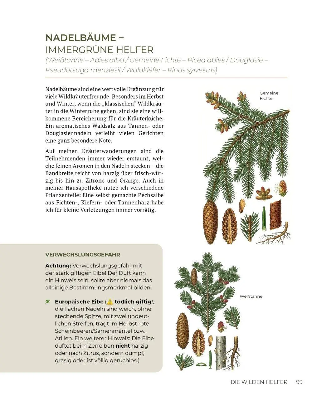 Bild: 9783910801165 | Wilde Kraft | Denise Felber | Taschenbuch | Kostbare Natur | 208 S.