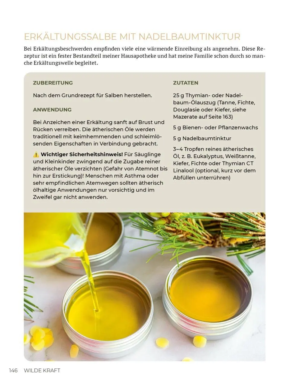 Bild: 9783910801165 | Wilde Kraft | Denise Felber | Taschenbuch | Kostbare Natur | 208 S.