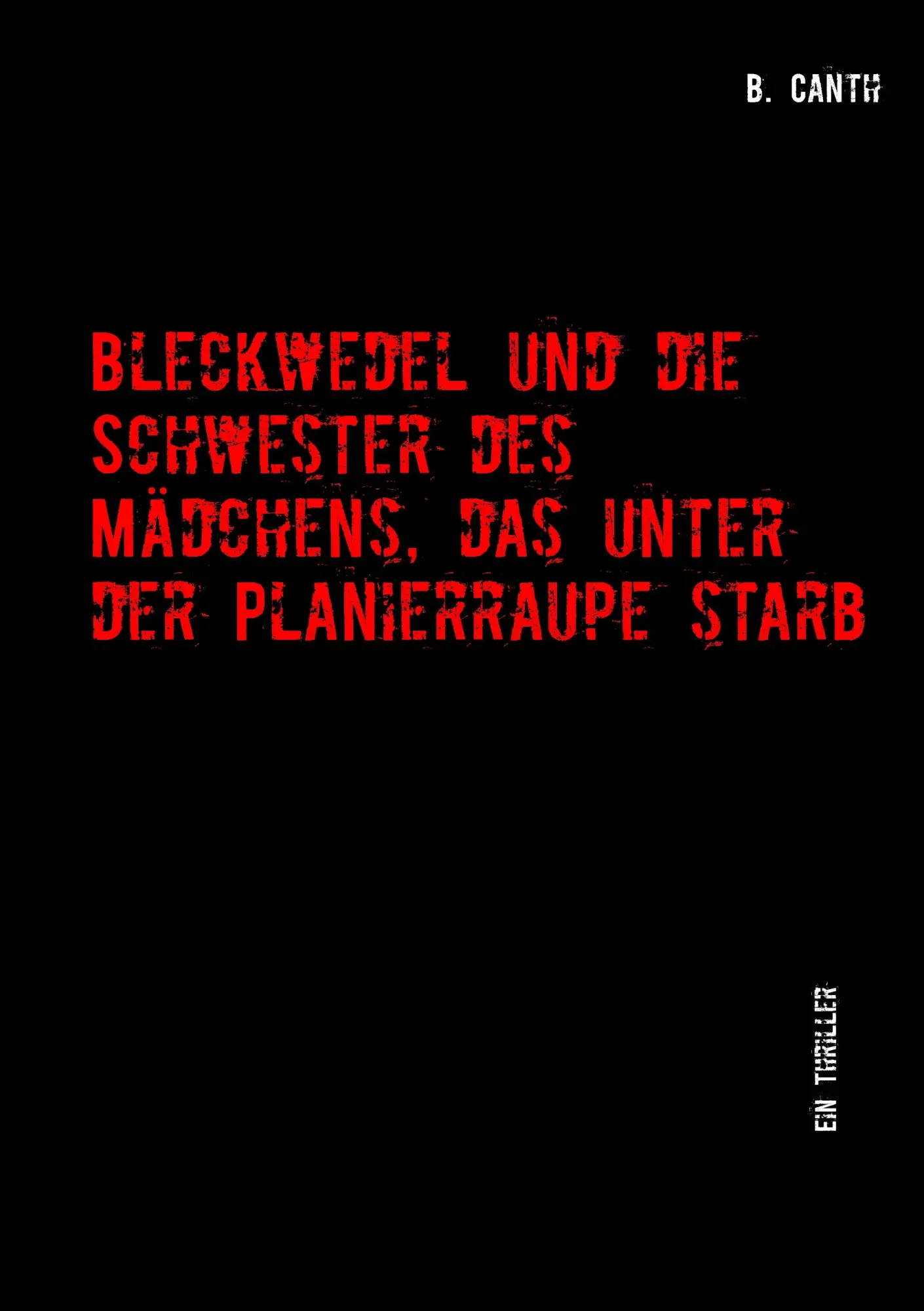 Cover: 9783945861165 | Bleckwedel und die Schwester des Mädchens, das unter der...