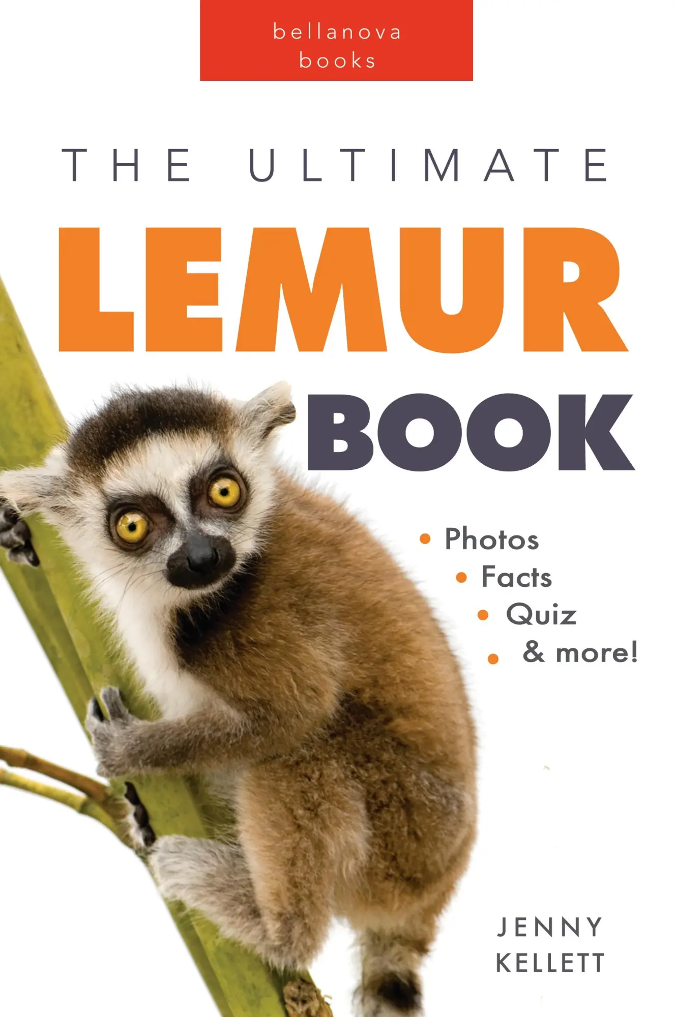 Cover: 9798210121165 | Lemurs | Jenny Kellett | Taschenbuch | Kartoniert / Broschiert | 2022